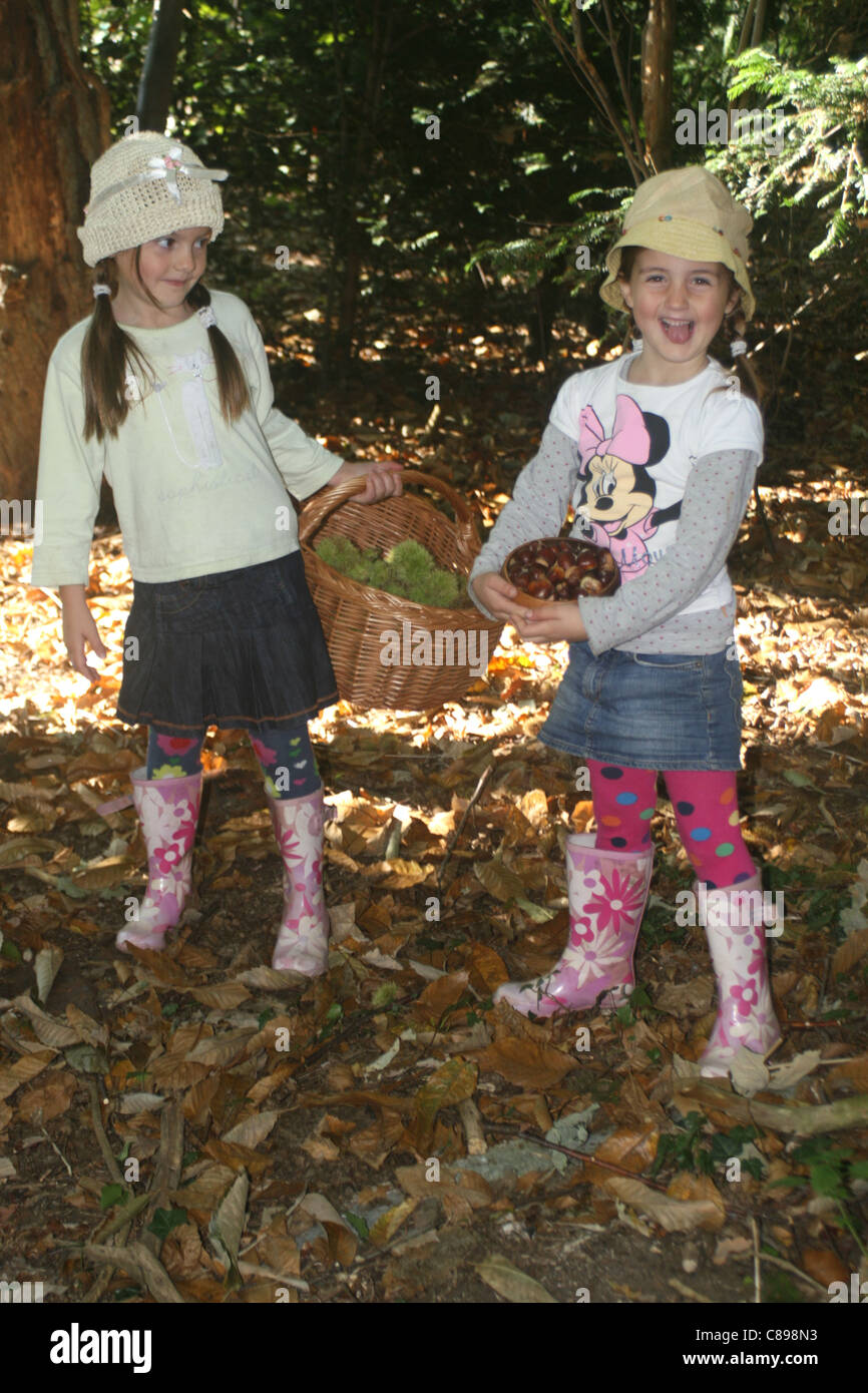 Les enfants la collecte de châtaignes ( Olea europea ) dans un bois, en Angleterre , Royaume-Uni , Europe Banque D'Images