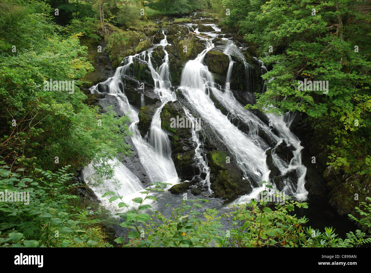 Swallow Falls, Betws-Y-coed, Gwynedd, Galles Banque D'Images