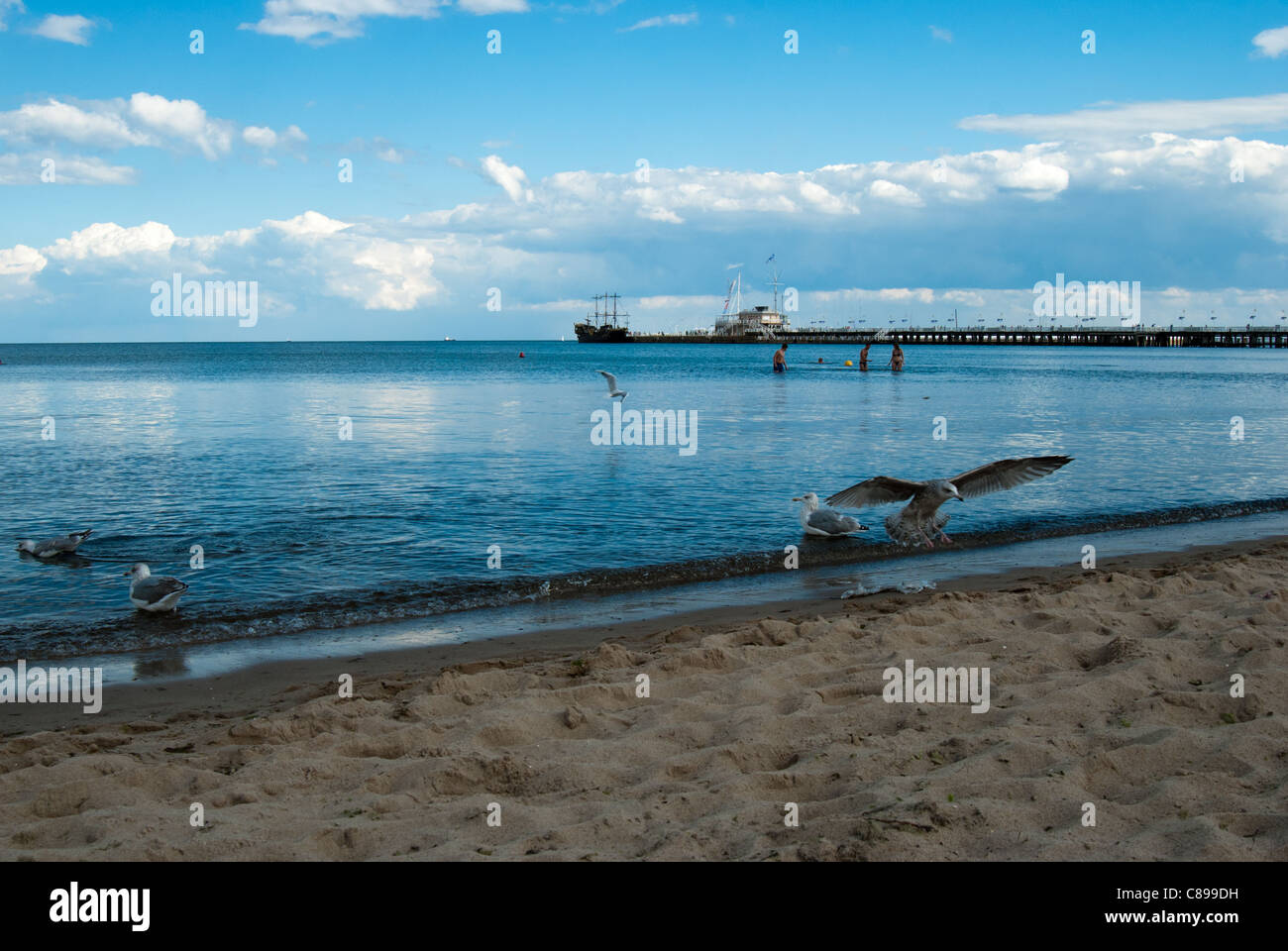 Plage de la jetée de Sopot avec en arrière-plan, la Pologne. C'est la plus longue jetée en bois en Europe - le Molo est 515, 5 mètres de long. Banque D'Images