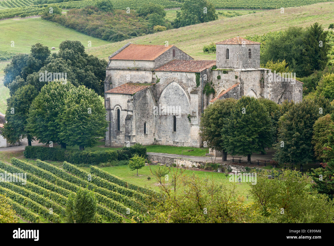 Église romane au milieu des vignobles de Cognac, Bouteville, Charente, France Banque D'Images Église romane au milieu des vignobles de Cognac, Bouteville, Charente, France Banque D'Images
