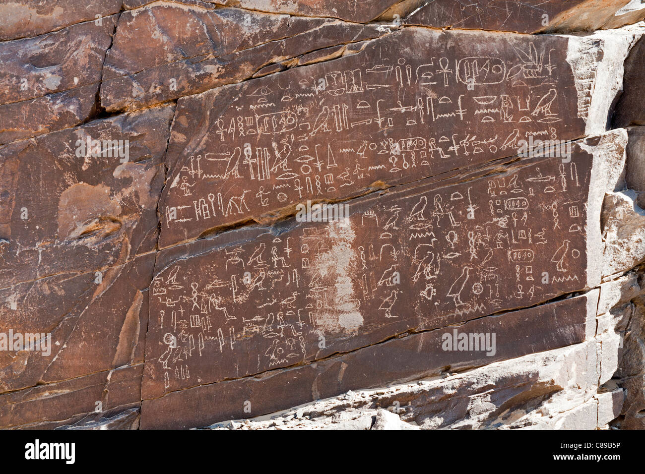 Inscription au Wadi Hammamat, désert de l'Est, les collines de la mer Rouge, Egypte, Afrique du Nord Banque D'Images