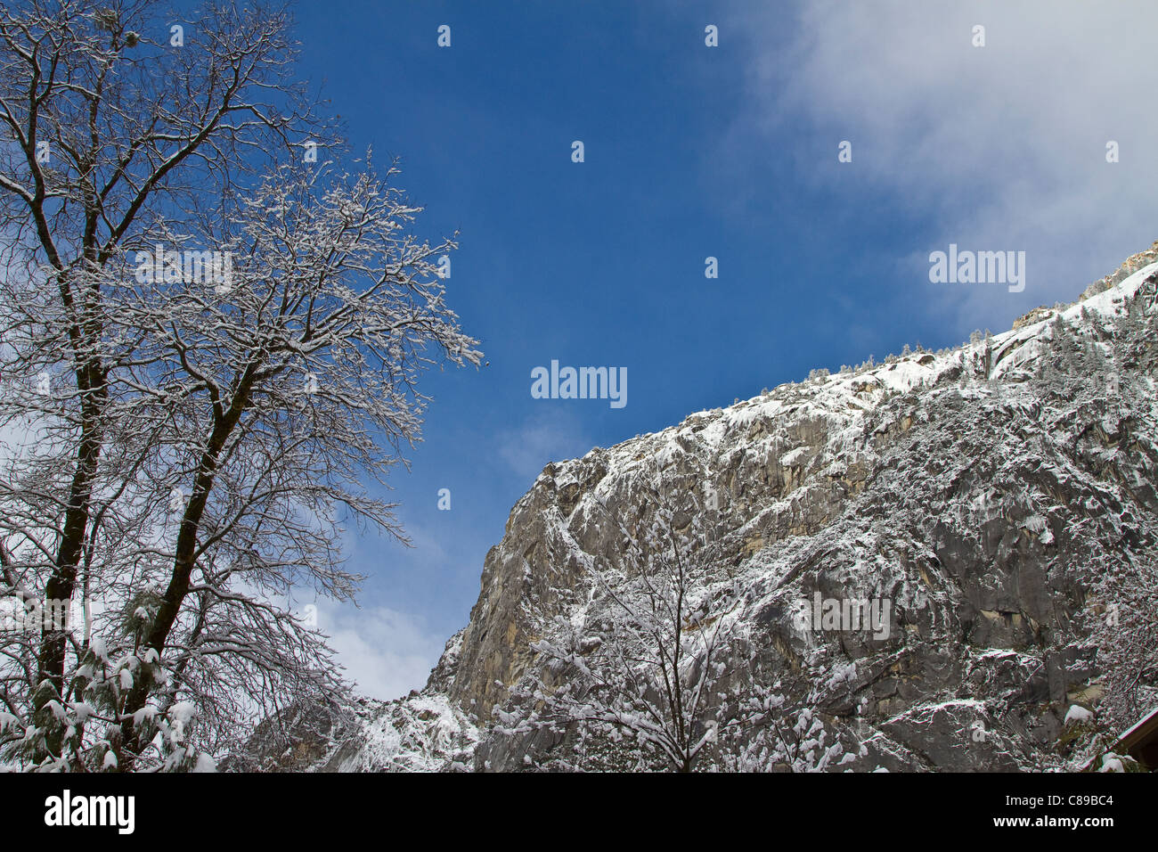 Saupoudré de neige pierres et arbres Banque D'Images