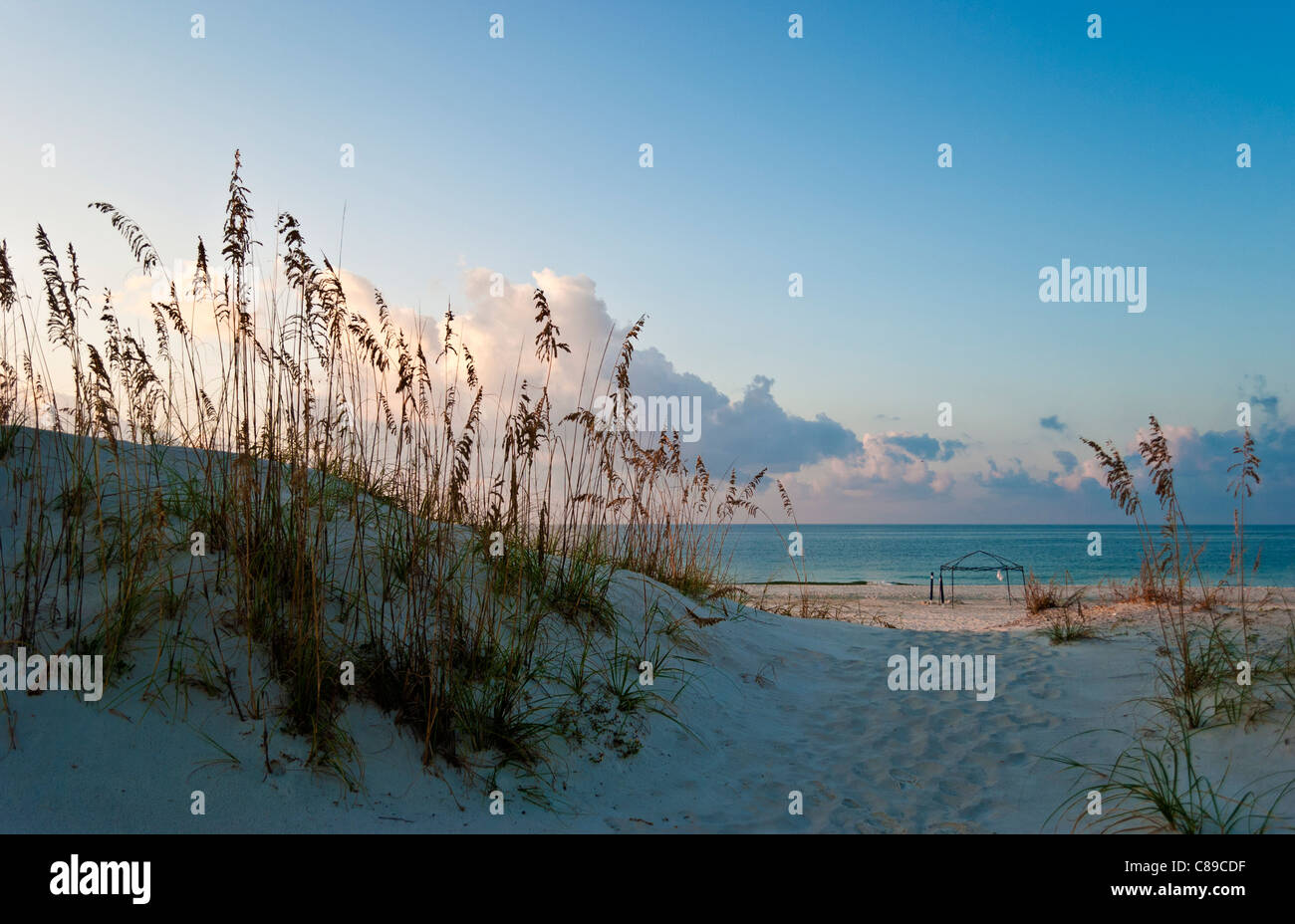 L'océan et des dunes de sable de la Côte du Golfe à la scène Banque D'Images