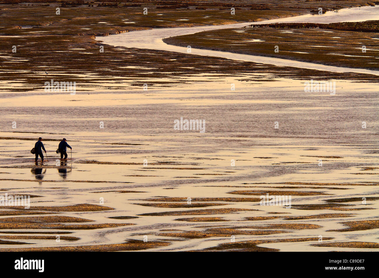 Deux pêcheurs de mollusques pour aller à la pêche de poissons au sol (en tenant à la main), à marée basse un jour de marée de vive-eau. Banque D'Images