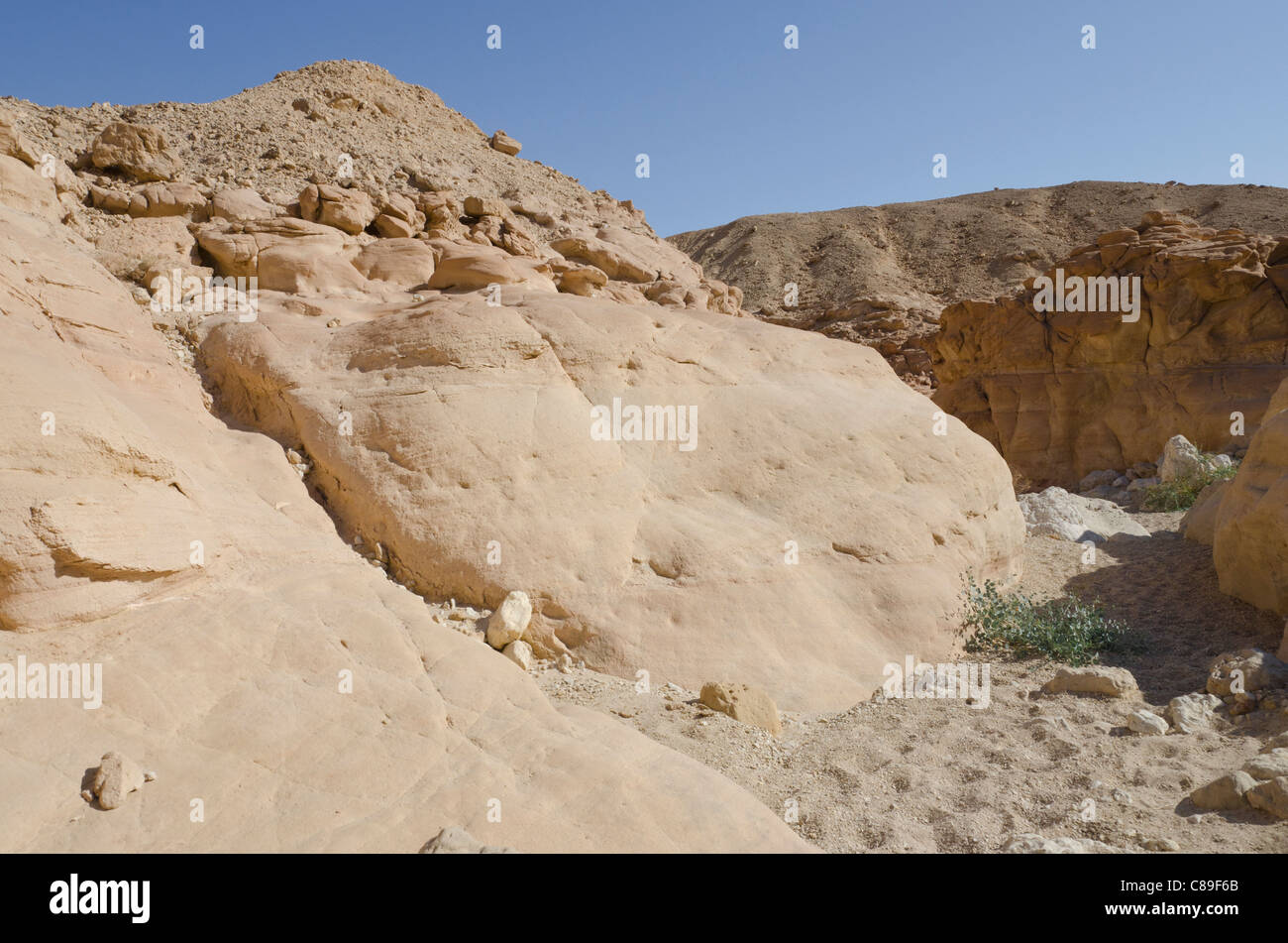 Vue d'un désert wadi. Timna Park. Vallée de l'Arava Israël. Banque D'Images