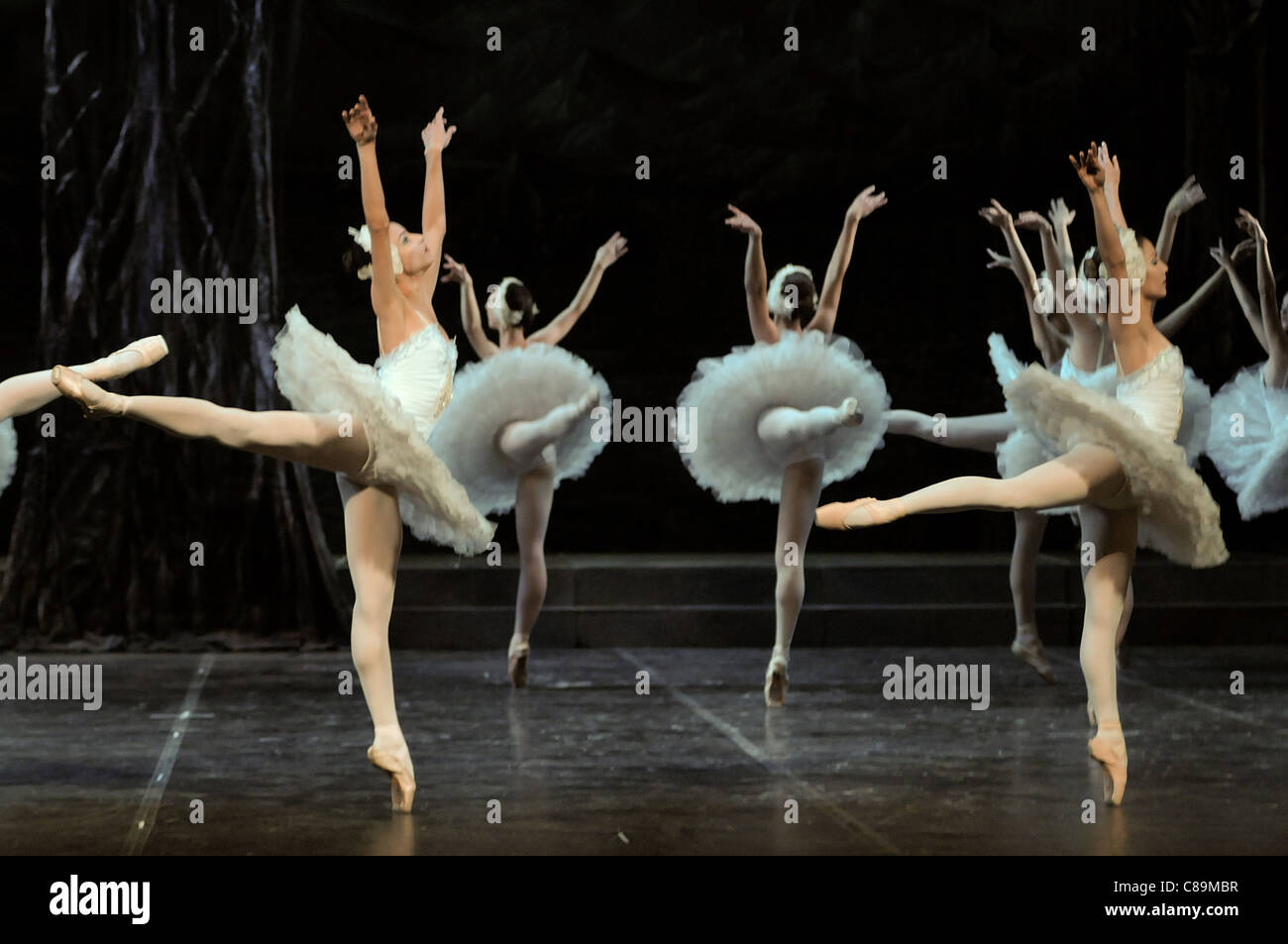 Danseuse de ballet au lac Swan, appuyez sur Appeler 2010 Banque D'Images