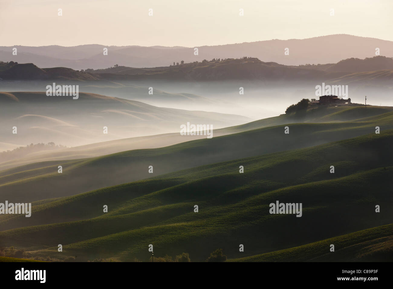Italie, Toscane, Crète, vue de ferme avec brouillard à paysage vallonné Banque D'Images