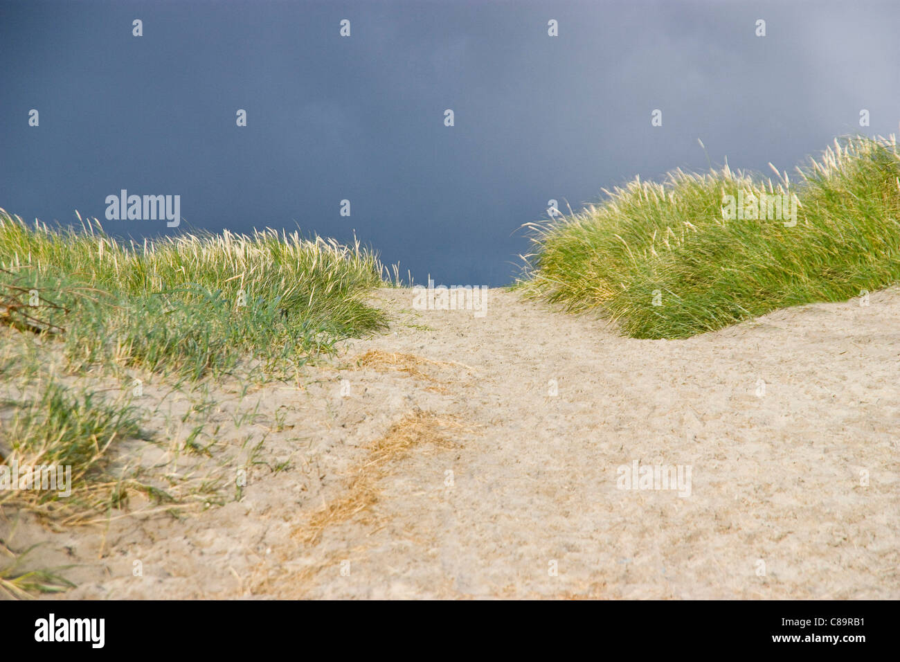 Le Danemark, l'Vrist, voir des dunes de sable avec de l'herbe Banque D'Images