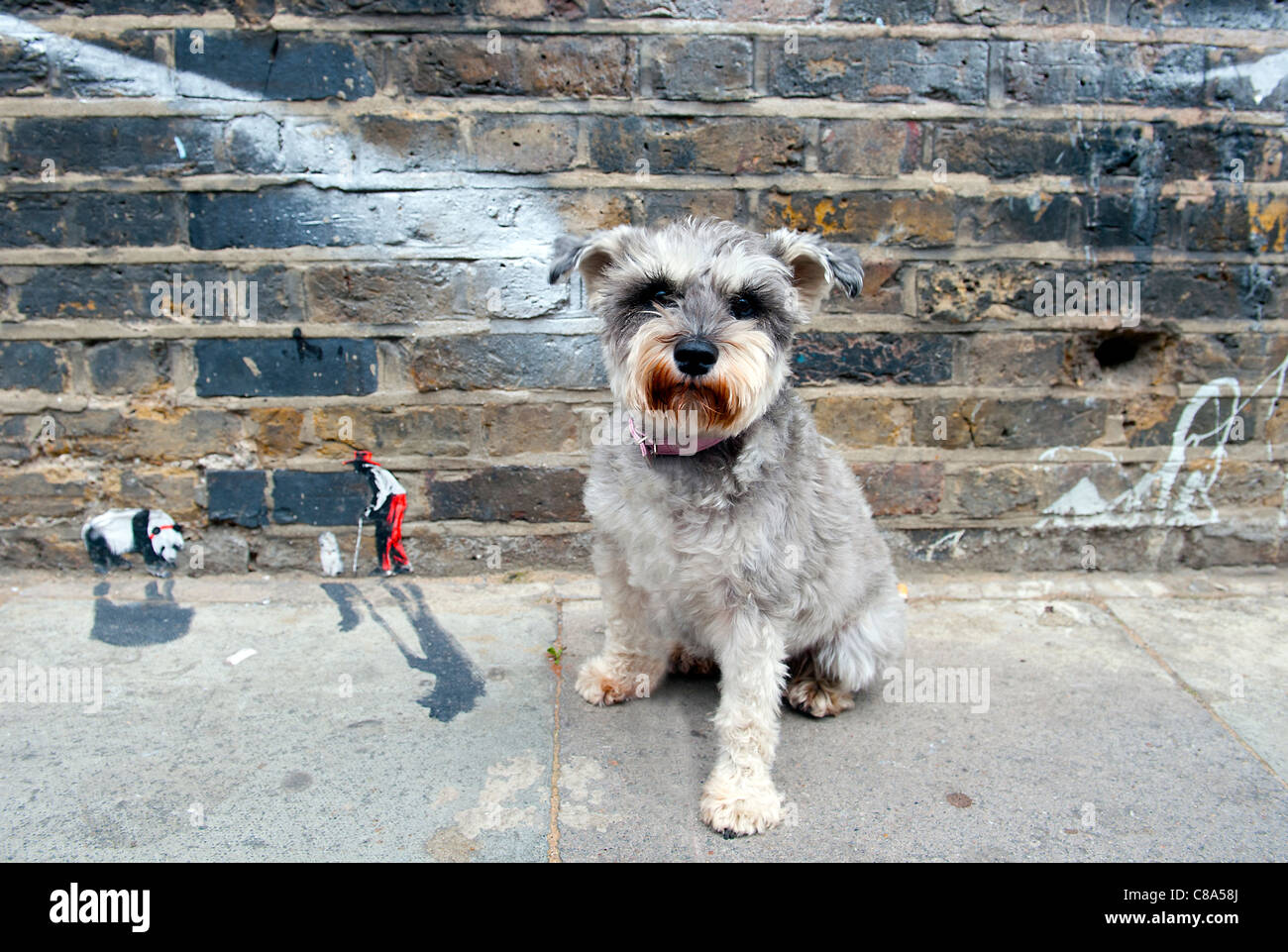 Œuvres d'art miniatures qui ont fait son apparition dans les rues de l'Est de Londres, au Royaume-Uni. L'art de la rue, qui a été porté à l'artiste Pablo Delga Banque D'Images