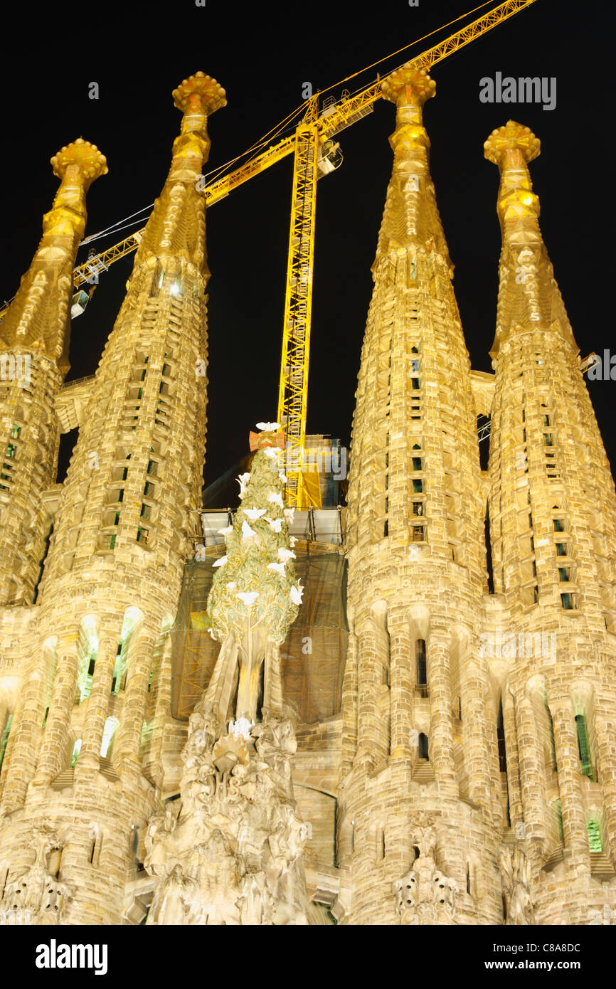 Sagrada Familia de nuit. Barcelone, Espagne, Europe Banque D'Images