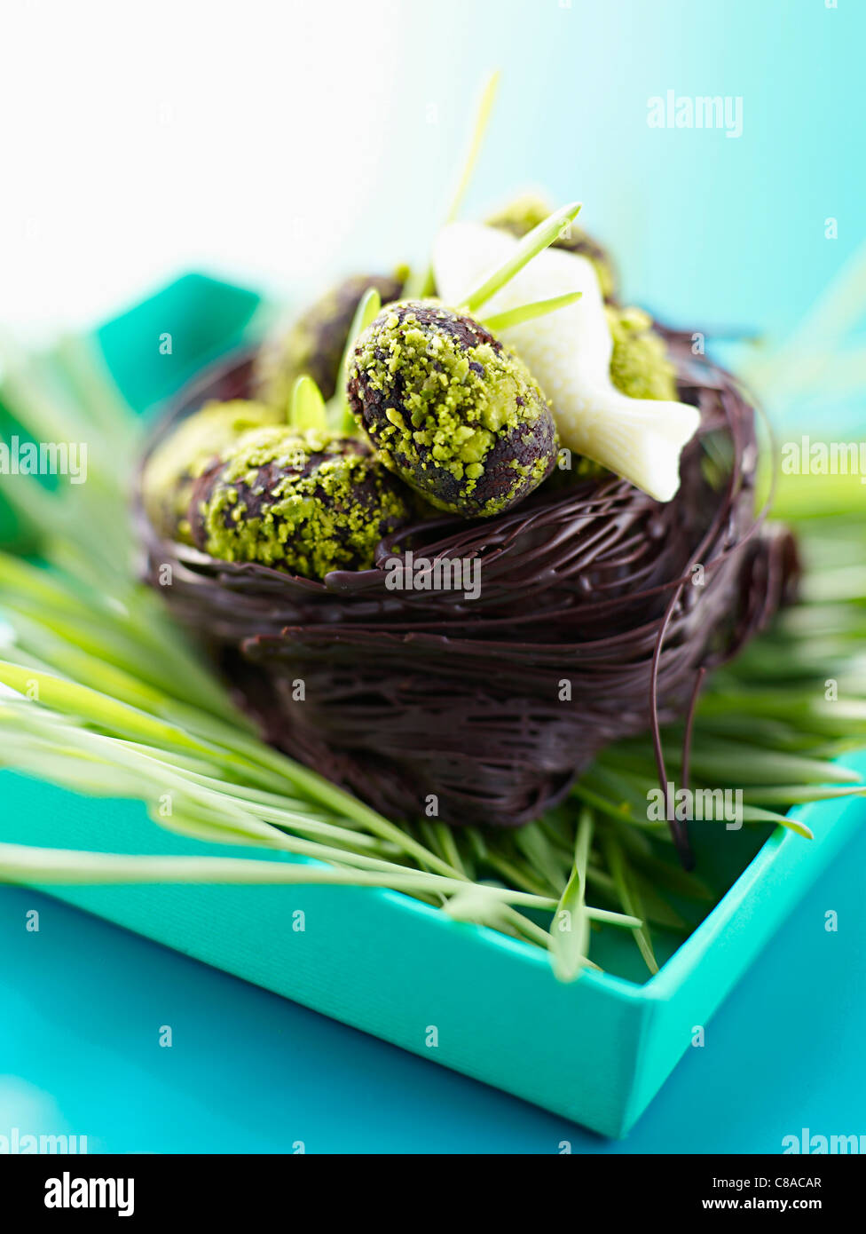 Le chocolat et la pistache nid rempli d'oeufs en chocolat Banque D'Images