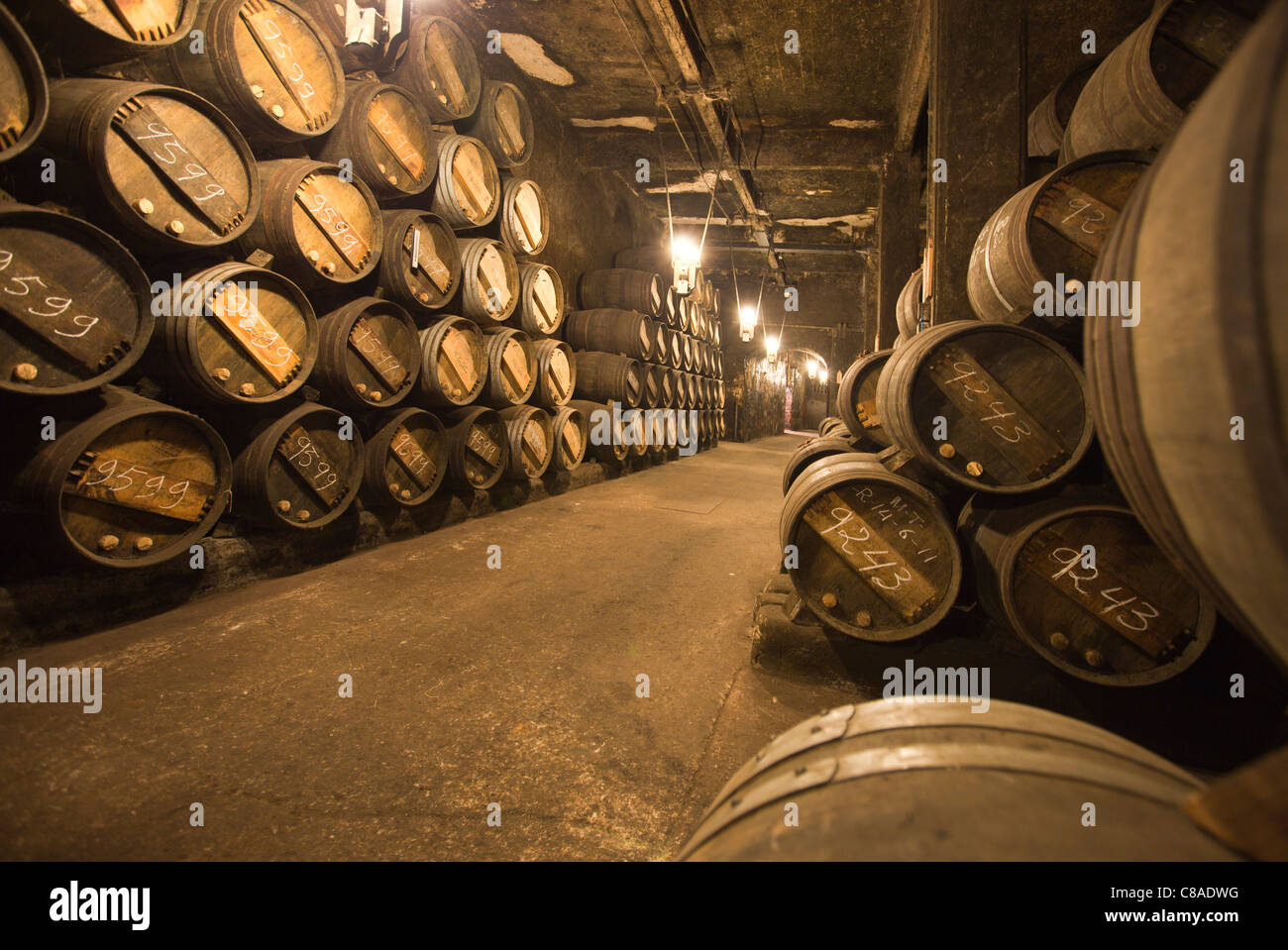 Bodega Vina Tondonia caves avec les fûts de chêne, dans La Rioja Espagne 110592 Haro, Espagne Banque D'Images