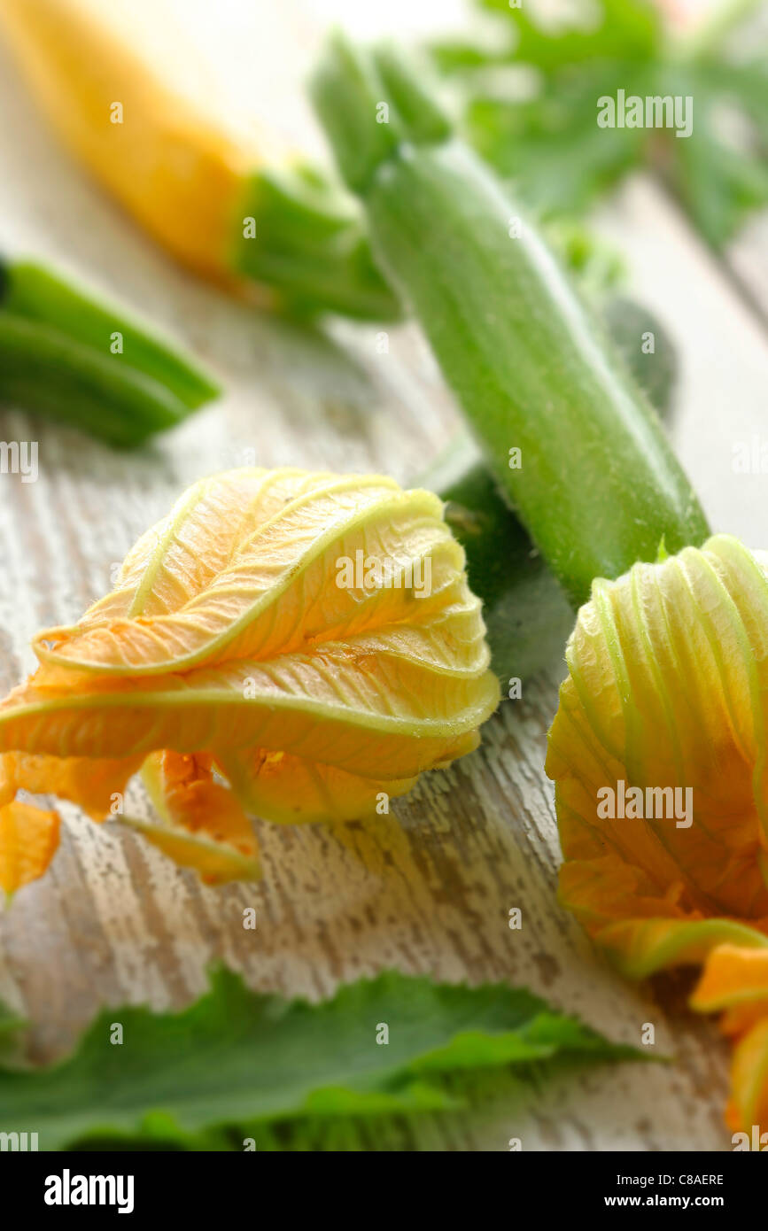 Fleurs de courgettes Banque D'Images