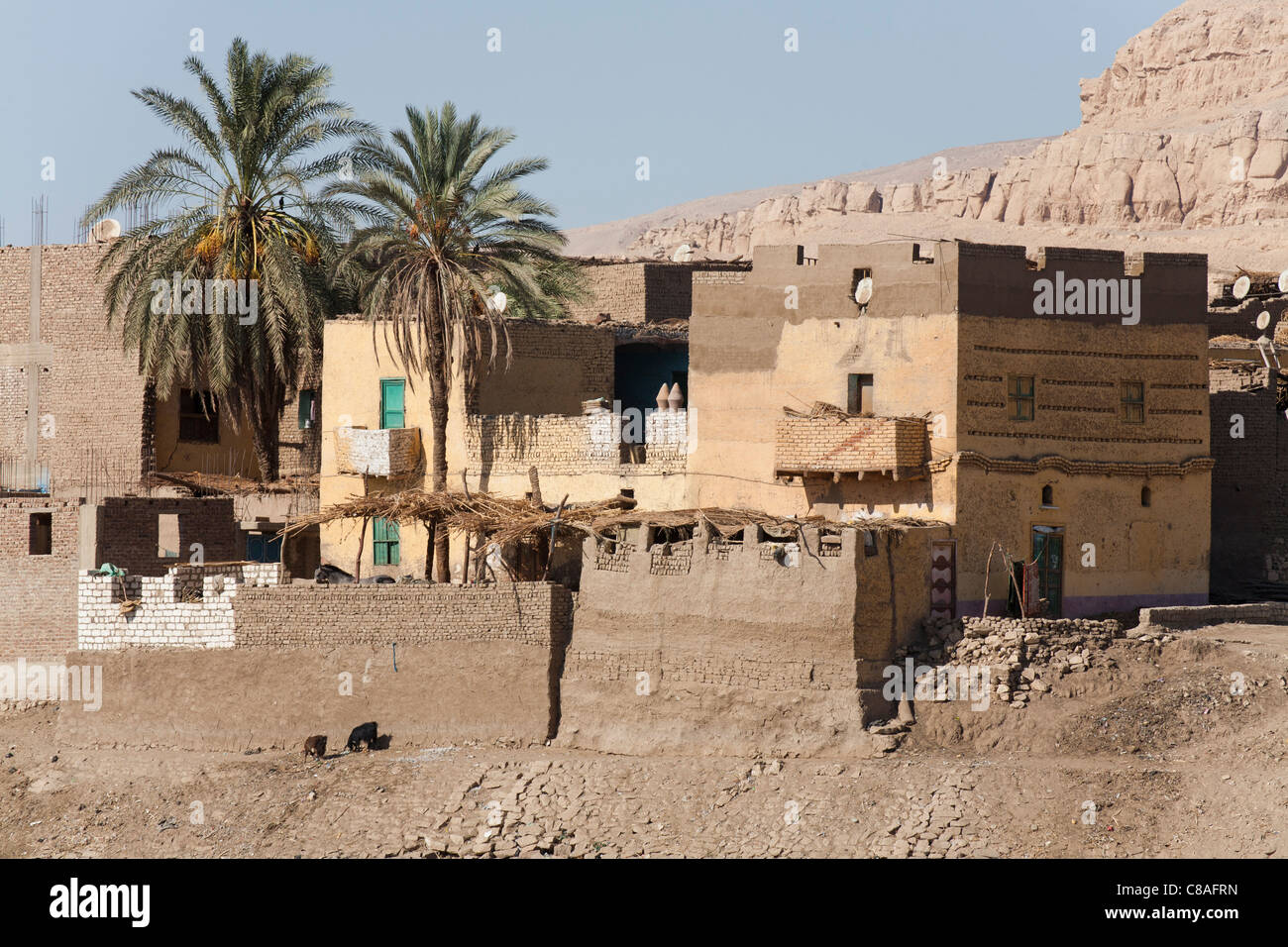 Maison en pisé traditionnel égyptien avec les bovins d'abris, deux palmiers, deux chèvres un cheval et village satellite dishes Banque D'Images