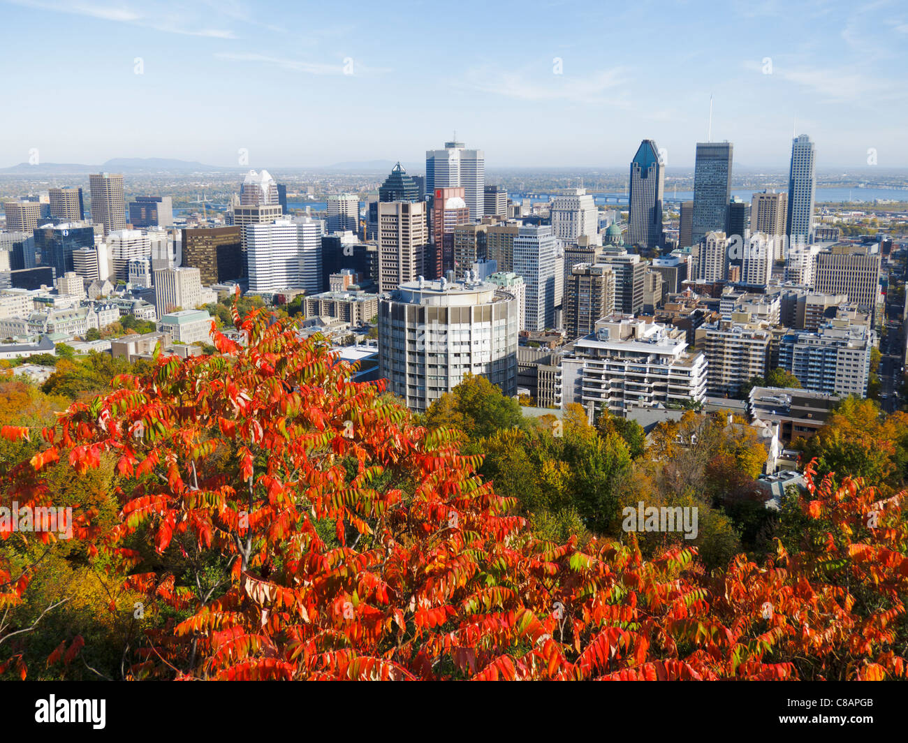 Vue sur Montréal du belvédère Kondiaronk au Mount Royal Banque D'Images