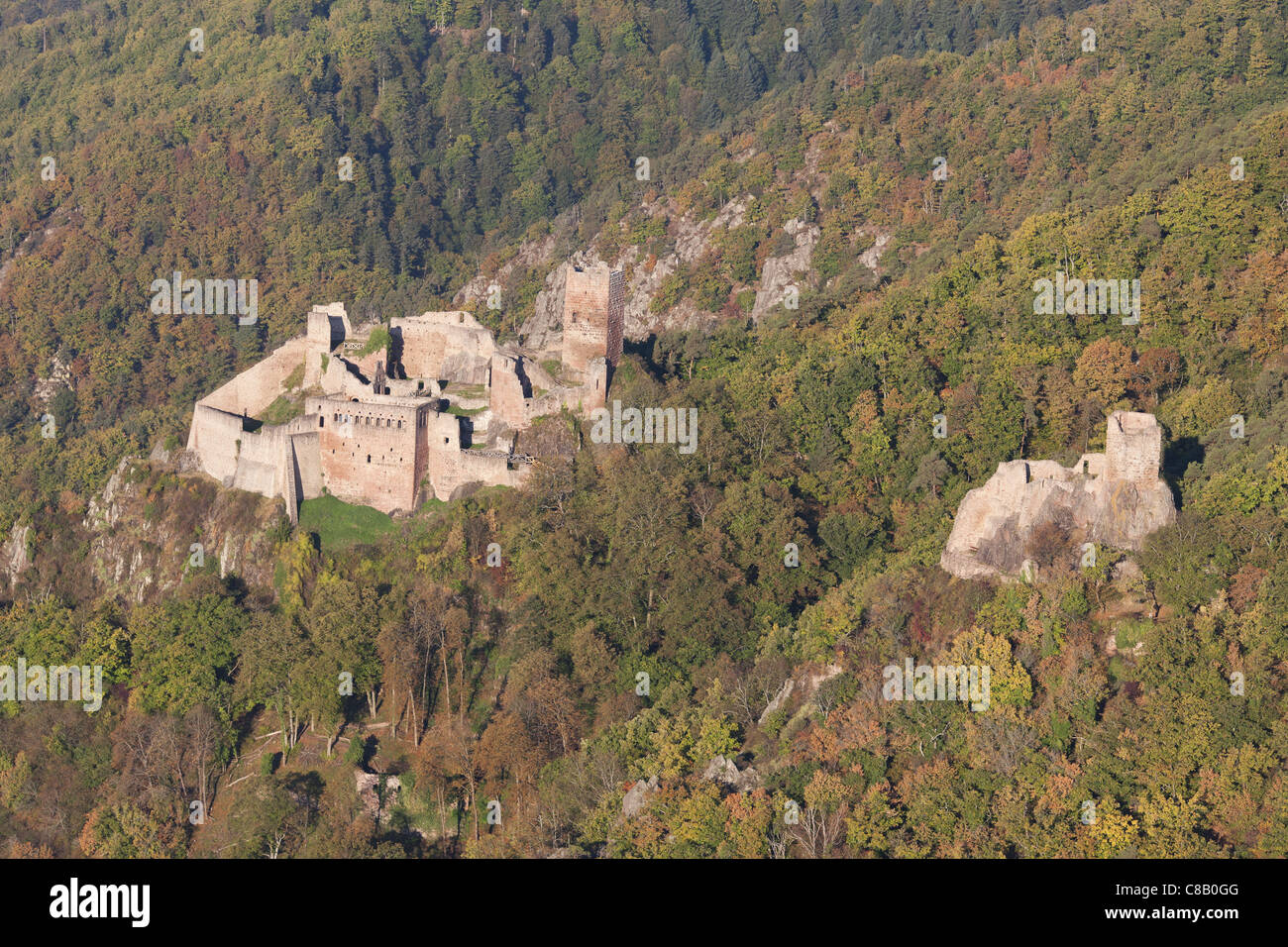 VUE AÉRIENNE.Château de Saint-Ulrich (à gauche) et Château de Giersberg (à droite) sur les Vosges.Ribeauvillé, Haut-Rhin, Alsace, Grand est, France. Banque D'Images