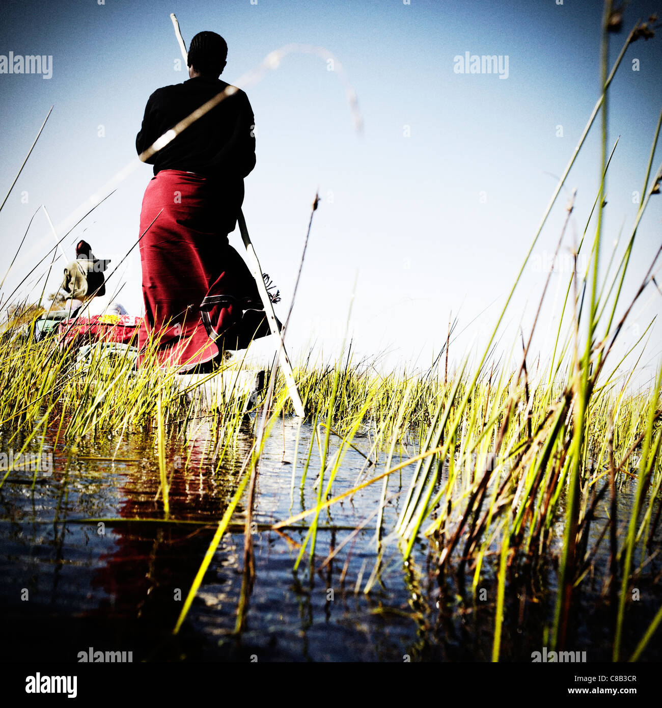 Makoro poler sur le delta de l'Okavango, au Botswana, l'Afrique. Banque D'Images