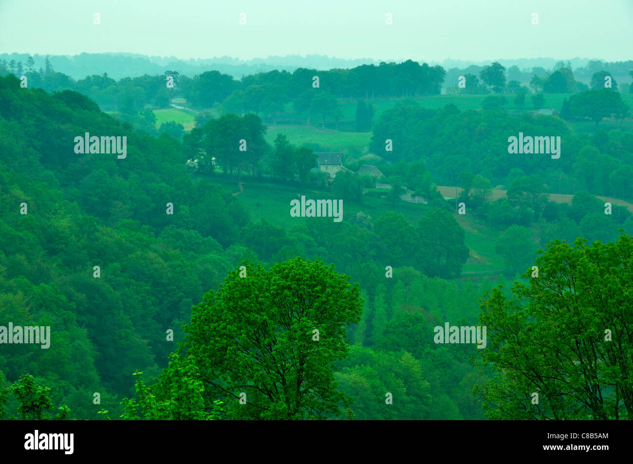 Paysage dans la brume au printemps, grove du Domfrontais (près de la ville de Domfront), Orne, Normandie, France, Europe. Banque D'Images