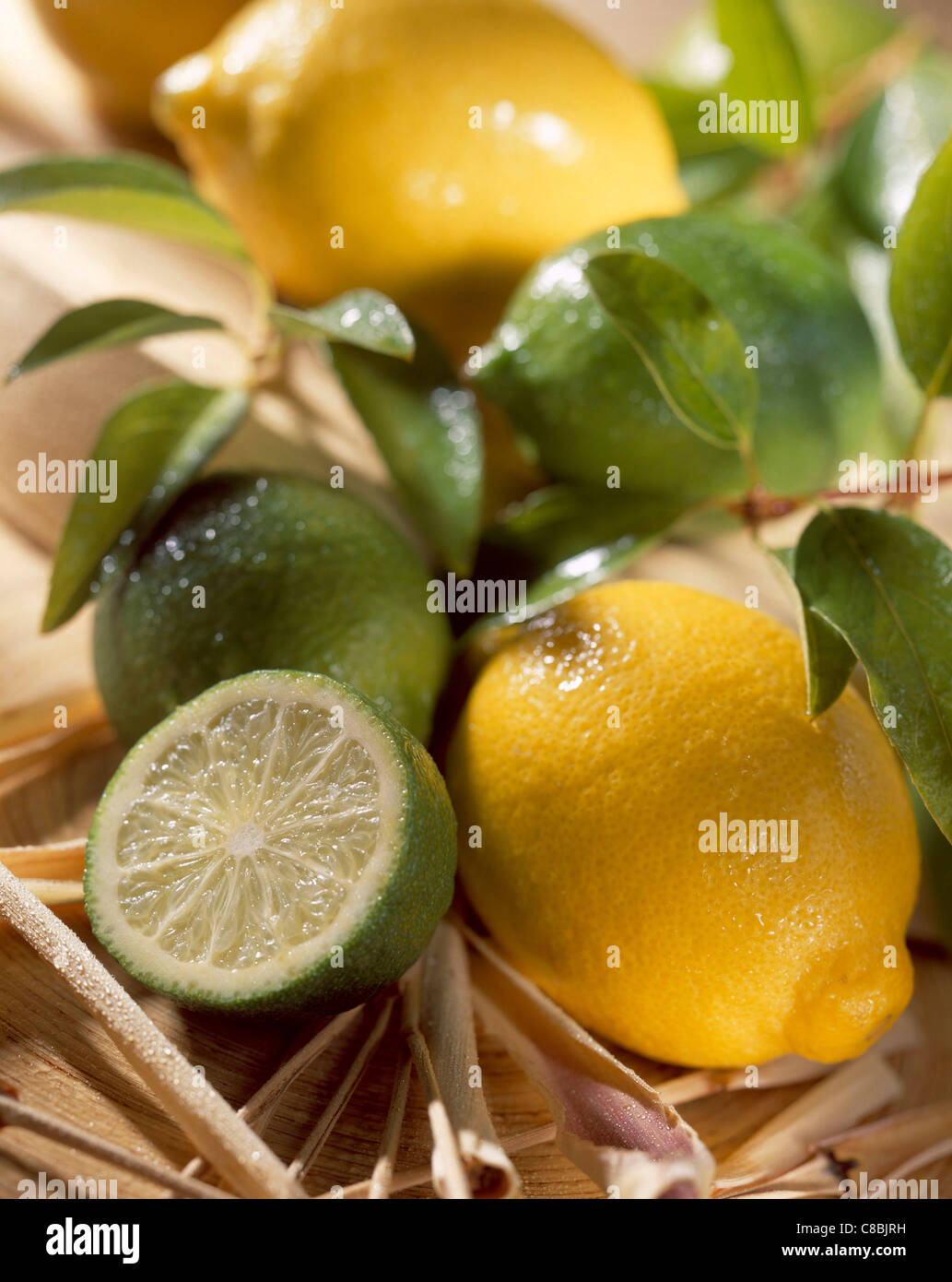 Citrons et limes Banque D'Images