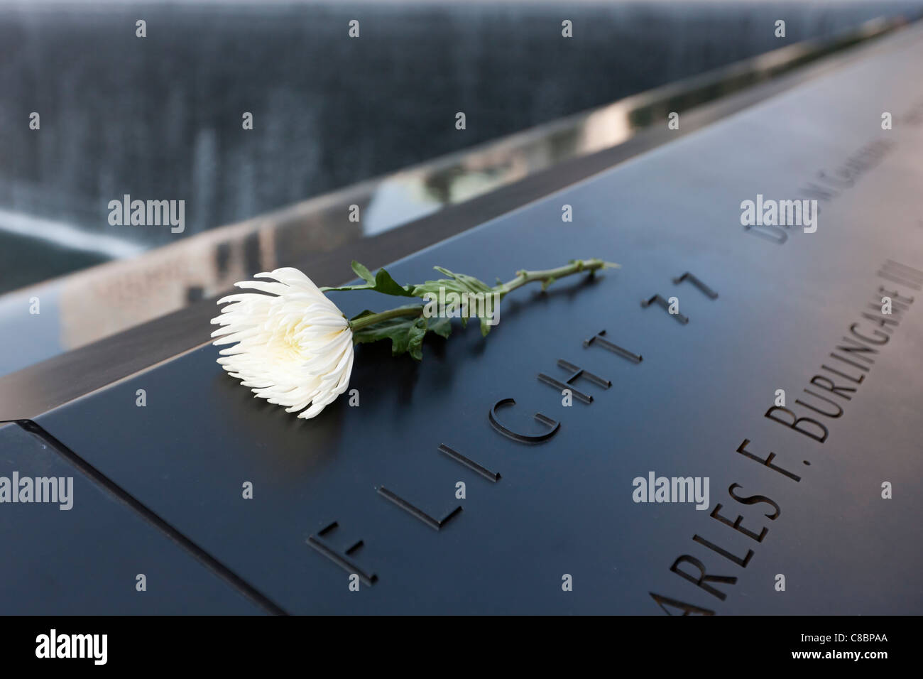 Une fleur se trouve sur les noms des personnes à bord du vol 77, sur la piscine du Sud au Mémorial National du 11 septembre à New York. Banque D'Images