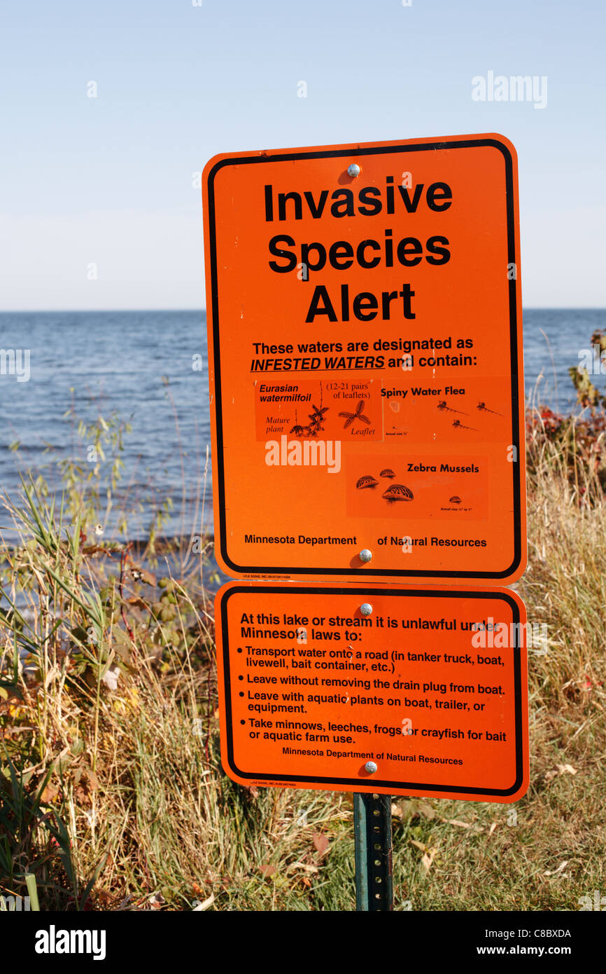 Un signe sur Mille Lacs Lake dans le Minnesota avertissement d'espèces envahissantes. Banque D'Images