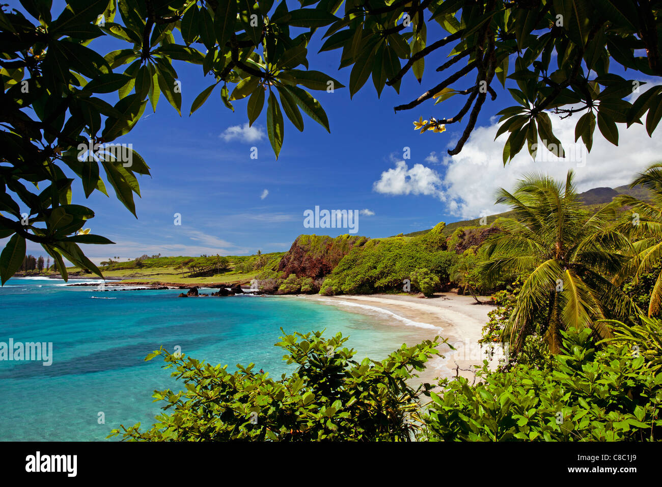 Hamao Plage à Hana, Maui, Hawaï est un célèbre dans le monde entier comme une top qualité. Banque D'Images