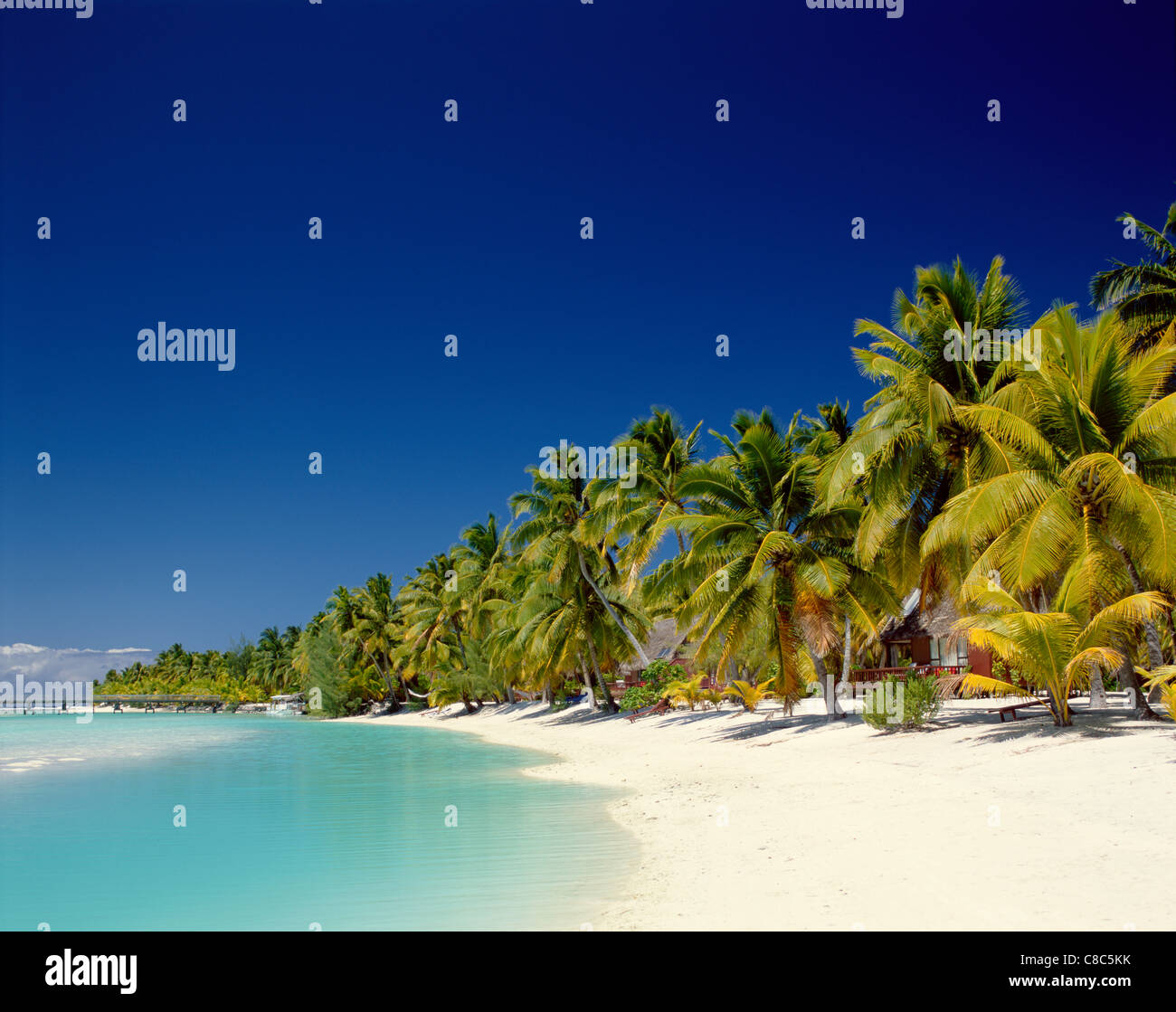 Atoll, palmiers & Tropical Beach, l'île de Aitutaki, Îles Cook, Polynésie Française Banque D'Images