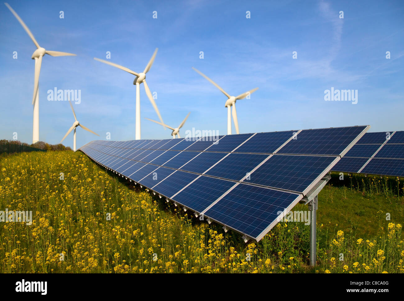 Panneaux solaires et éoliennes dans le domaine Banque D'Images