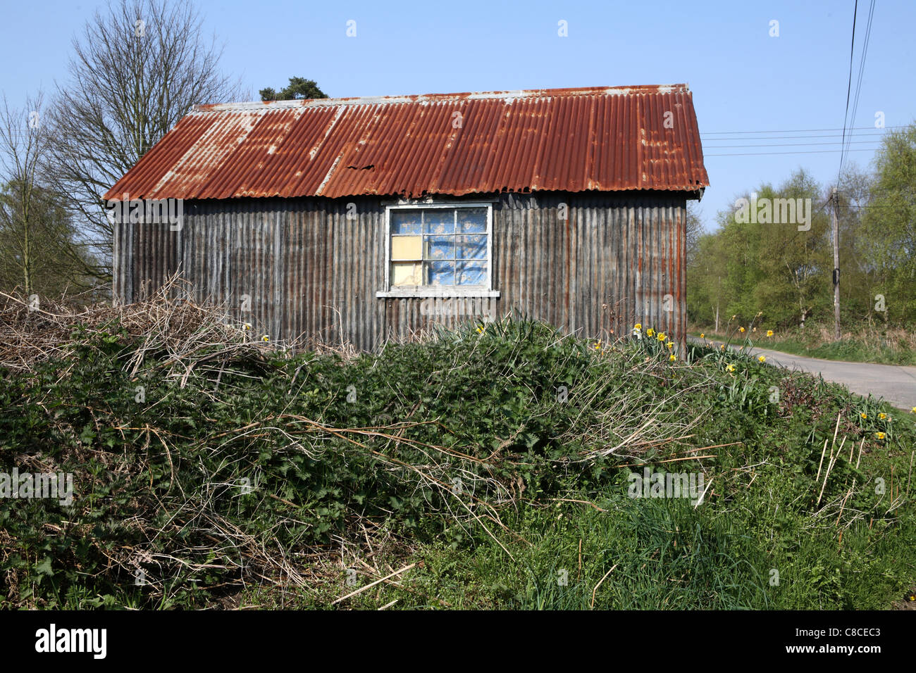 Cabane en tôle ondulée abandonnés / remise, avec rusty / toit rouillé et fenêtre brisée dans le Suffolk rural Banque D'Images