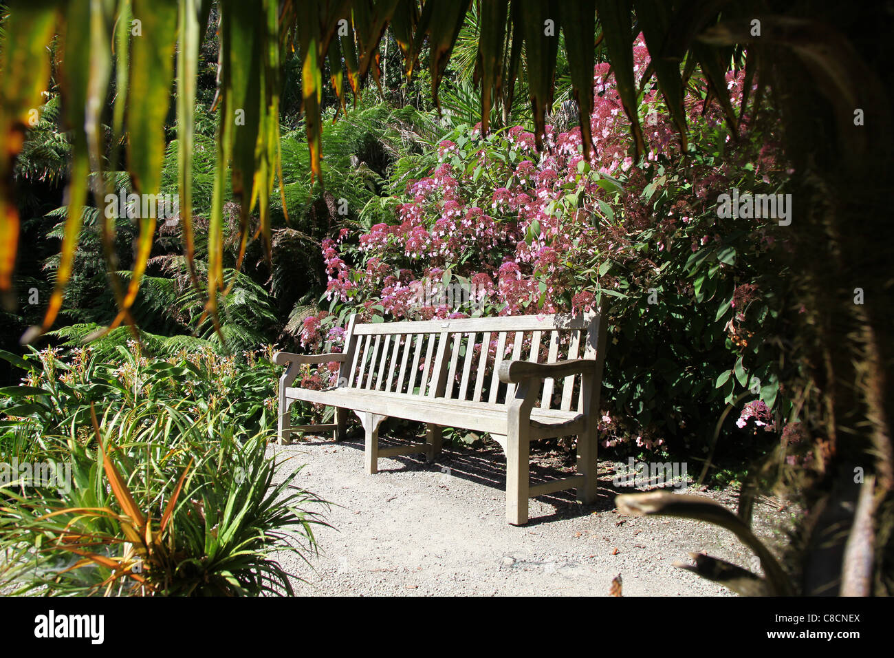 Un banc en bois à Trebah Gardens, Mawnan Smith, Nr Falmouth, Cornwall, England, England, UK Banque D'Images