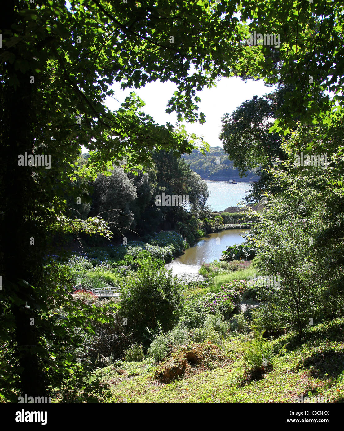 Une vue de l'estuaire de Falmouth de Trebah Gardens, Mawnan Smith, Nr Falmouth, Cornwall, England, England, UK Banque D'Images