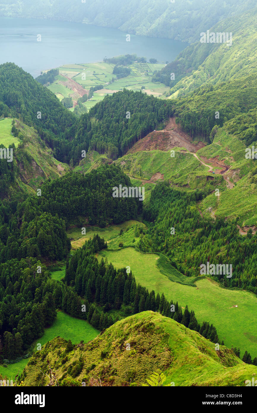 Partie de Lagoa Azul, vu de Pico Canario, île de São Miguel, aux Açores. Banque D'Images