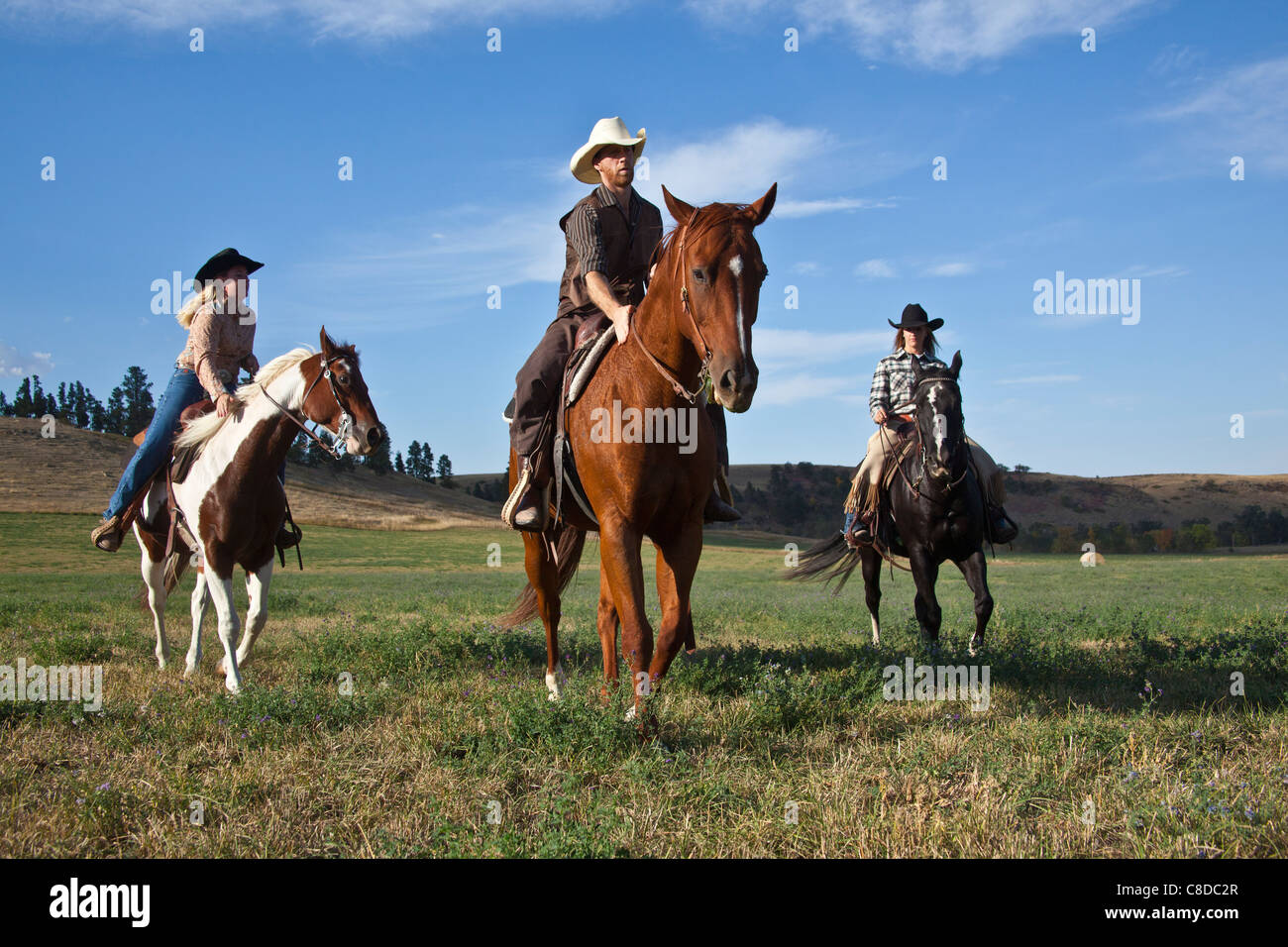 Trois éleveurs montent leurs chevaux vers l'appareil photo Banque D'Images