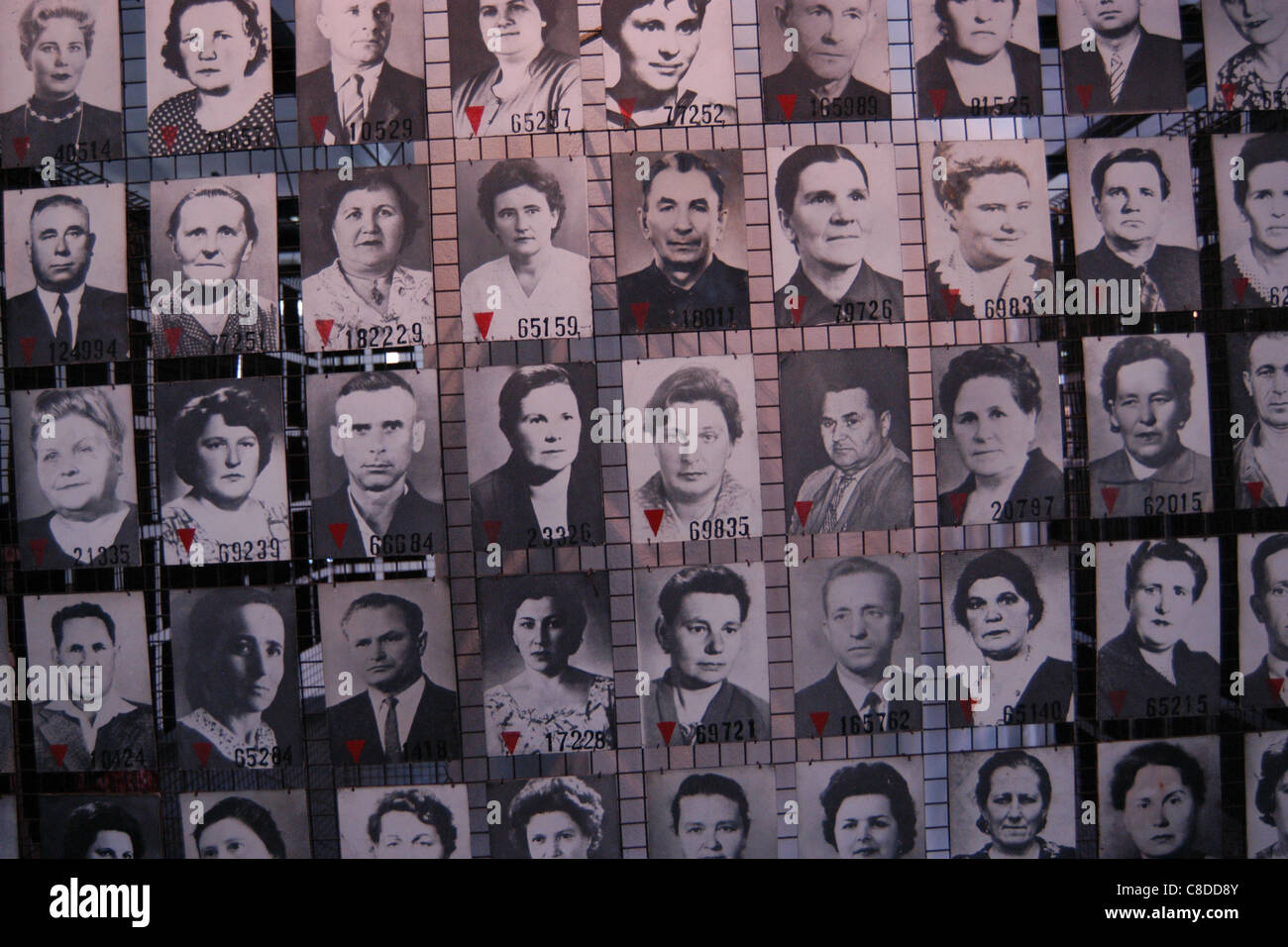 Des photographies de la prisonniers soviétiques dans l'Auschwitz I camp allemand nazi de concentration à Oswiecim, Pologne. Banque D'Images
