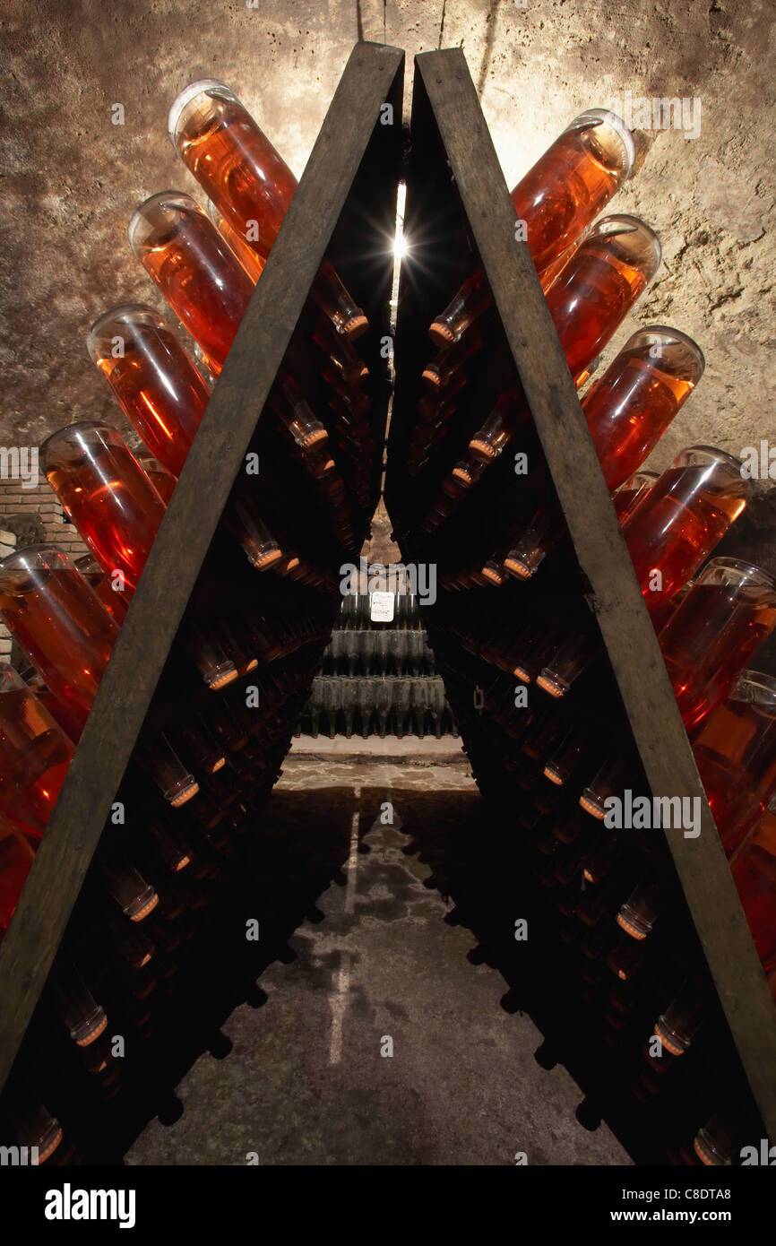 Casiers de bouteilles de Champagne rose dans une cave Banque D'Images