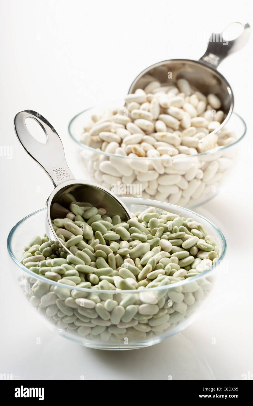 Difference Entre Flageolet Et Haricot Blanc