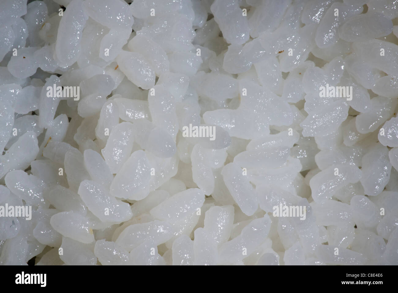 Riz à sushi Banque D'Images