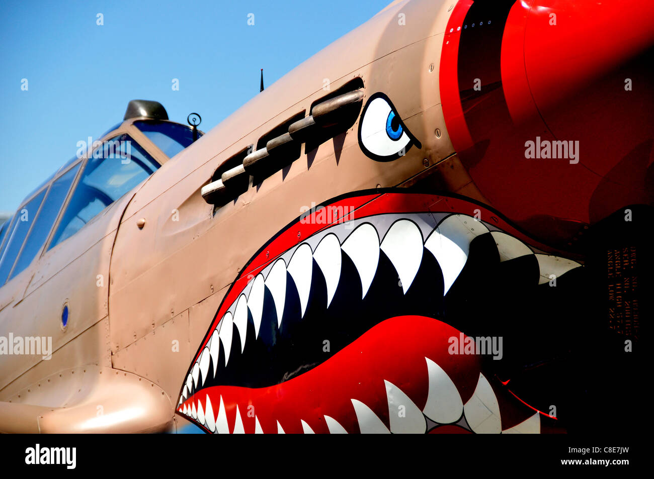 Nose art sur un Curtiss P-40 Warhawk de chasse à l'Aviation Museum Banque D'Images