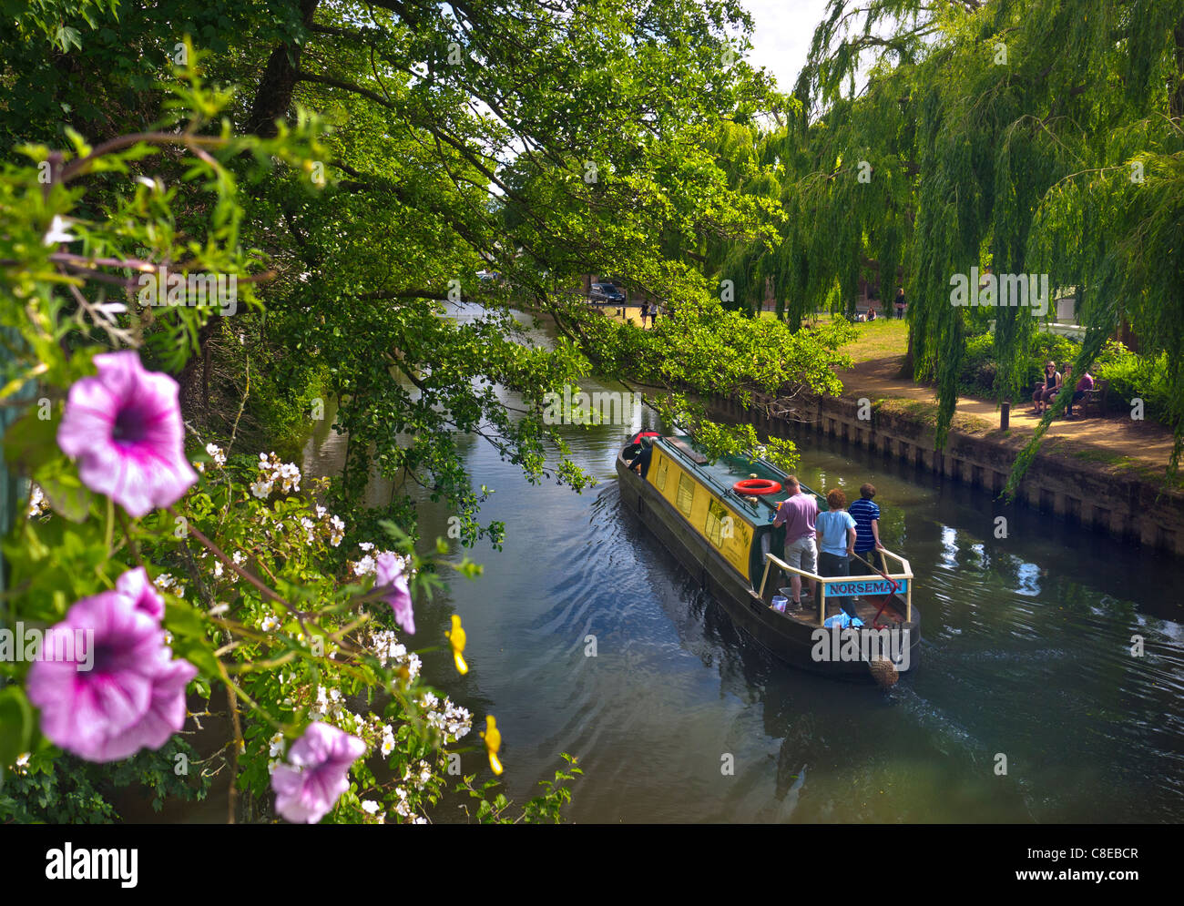 Barges en bateau à Narrowboat Staycation avec croisière en famille sur River Wey à travers le centre-ville de Guildford avec des fleurs en premier plan Surrey, Angleterre, Royaume-Uni Banque D'Images