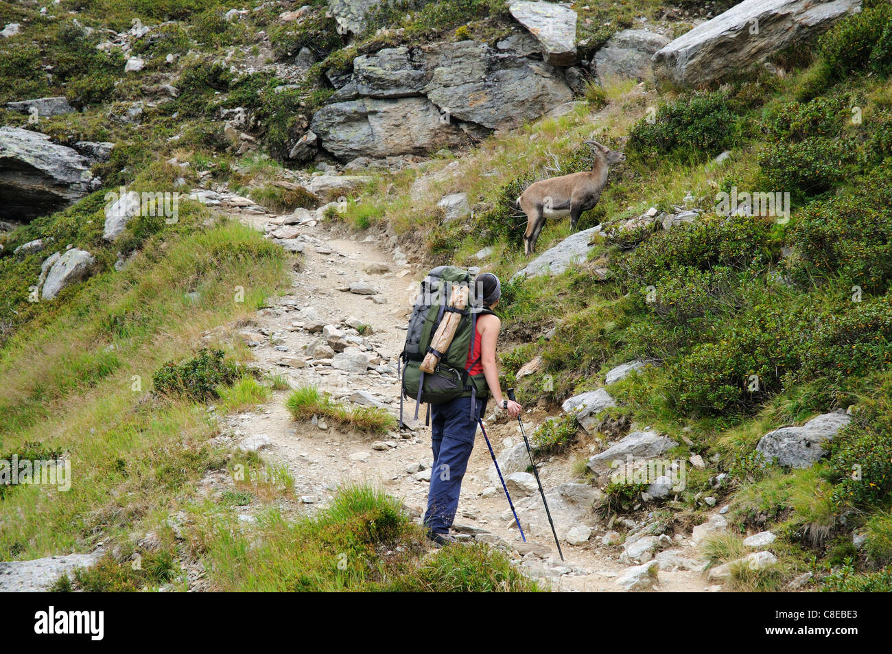 Une jeune femme walker sur un sentier dans les Alpes Françaises Banque D'Images