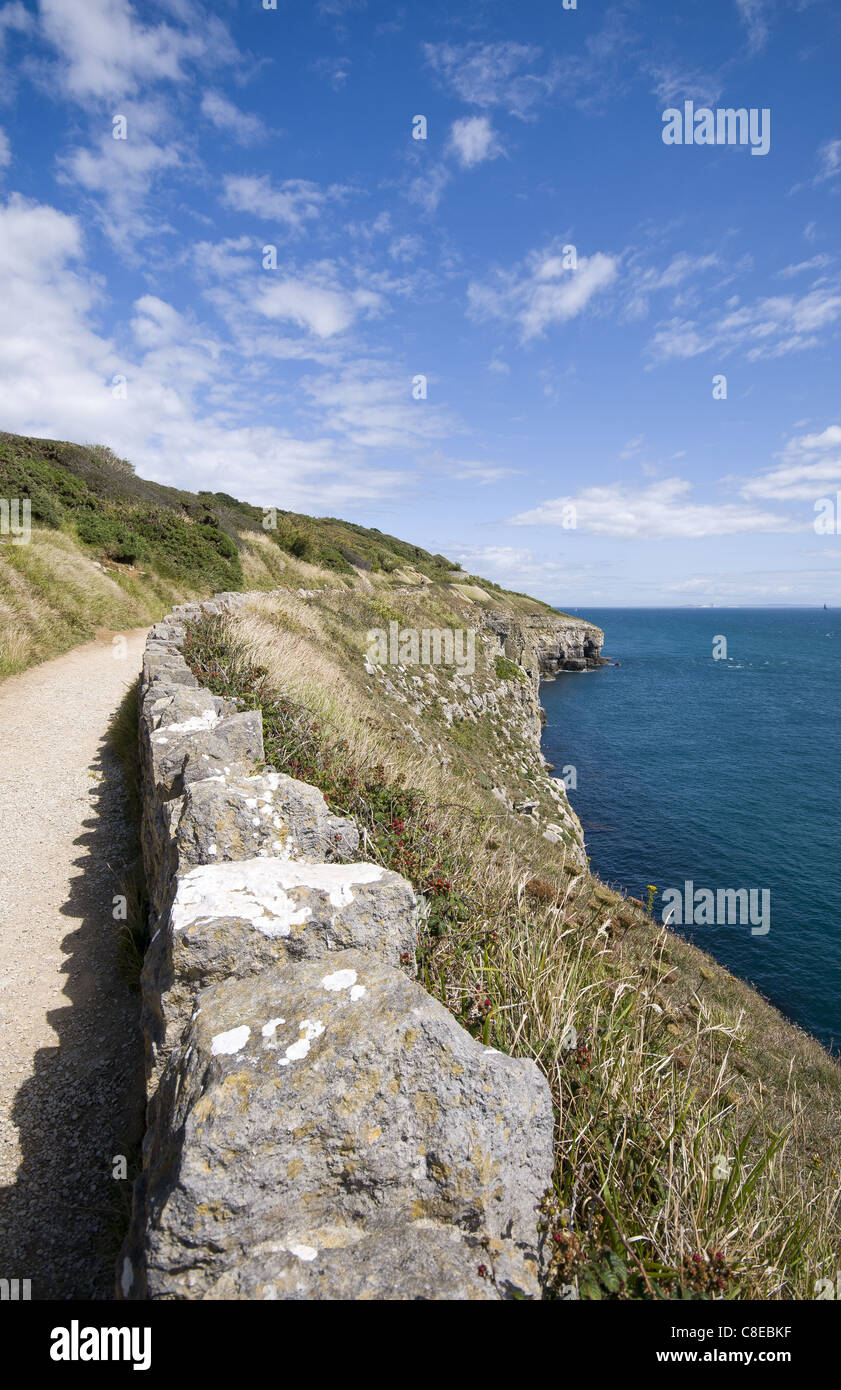 Sentier du littoral autour de pays Durlston Park sur l'île de Purbeck près de Swanage, Dorset, England, UK Banque D'Images