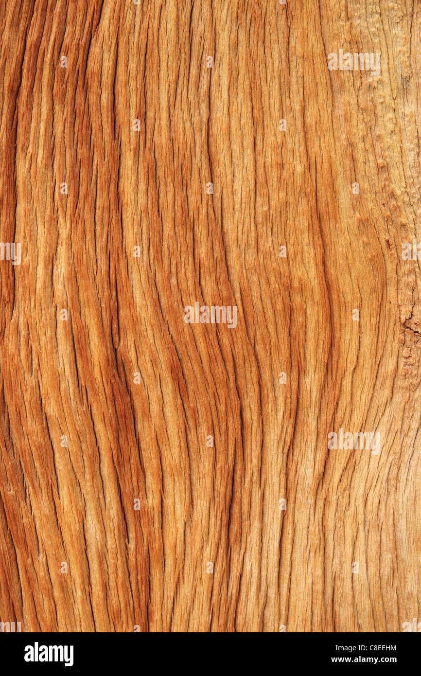 Tronc de pin érodée texture de fond en similibois Banque D'Images