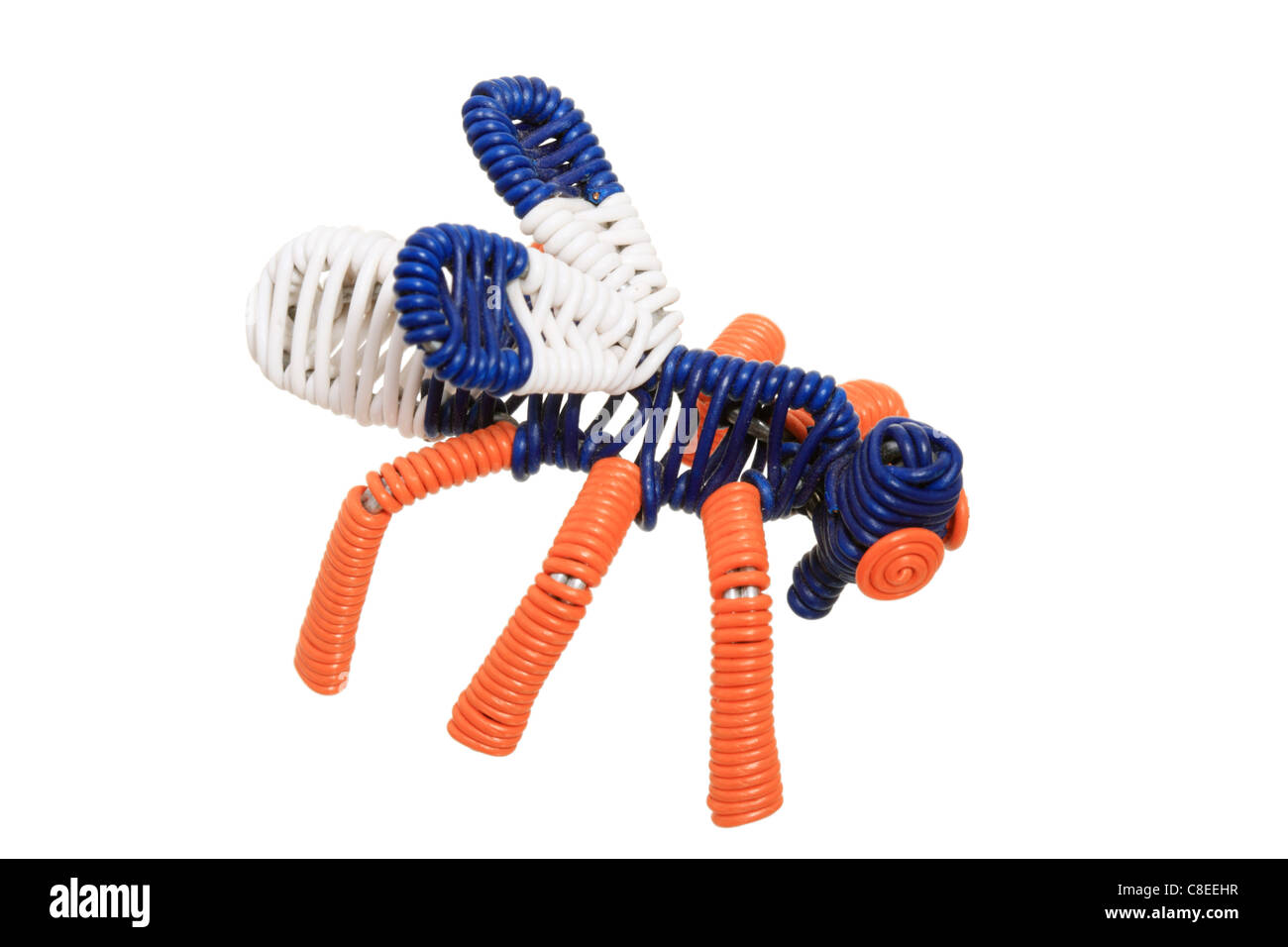 Le fil de l'Afrique du Sud modèle fly isolé sur fond blanc Banque D'Images