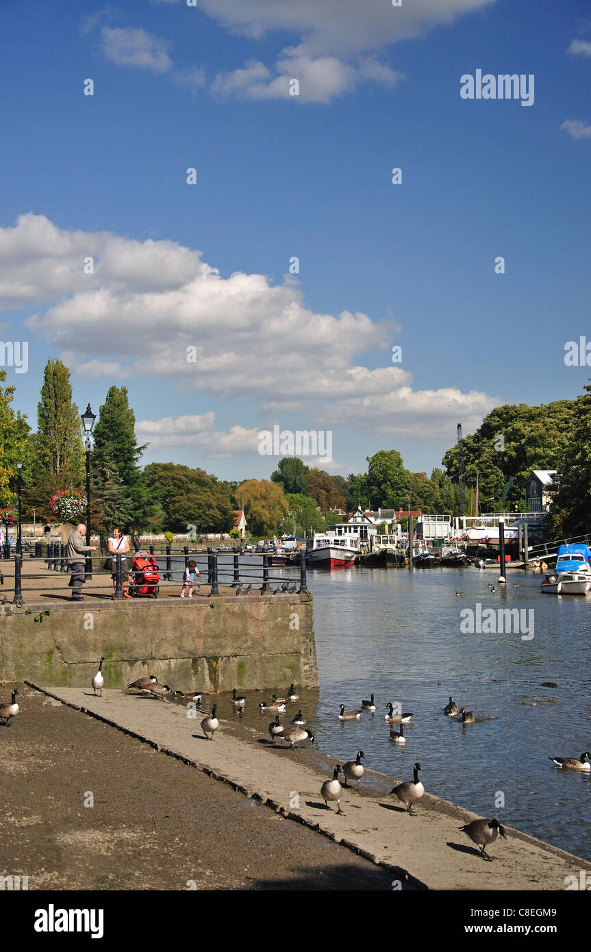 Sur la rivière Tamise, Twickenham, London Borough of Richmond upon Thames, London, Greater London, Angleterre, Royaume-Uni Banque D'Images