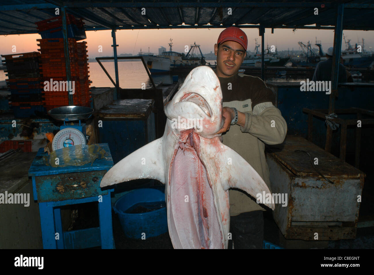 Le marché aux poissons de Tripoli, Libye Banque D'Images