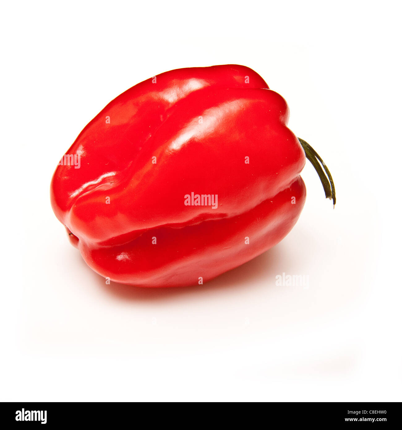 Piment Scotch Bonnet ou poivre Des Caraïbes isolated on a white background studio. Banque D'Images