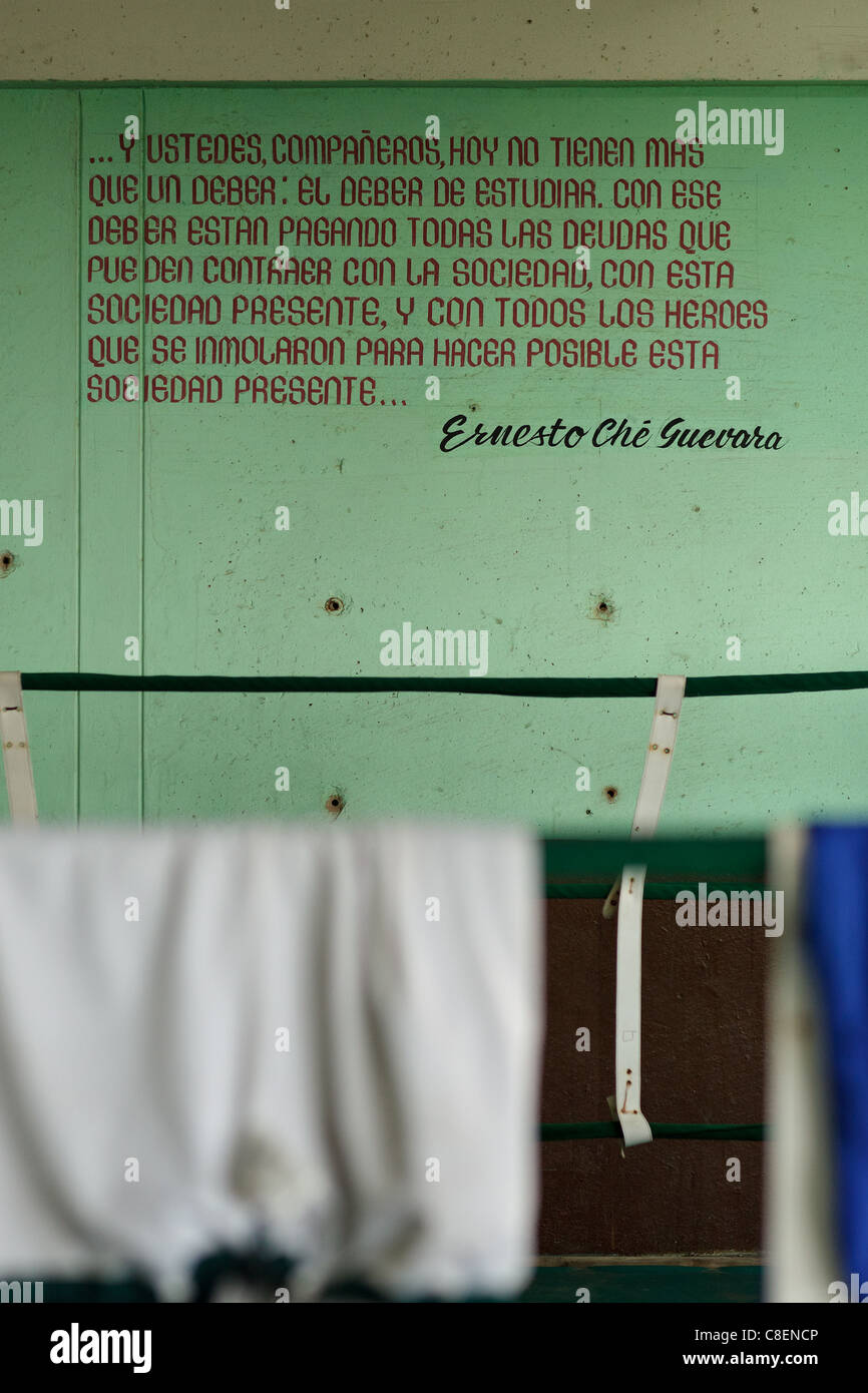 Latin Quote Banque D Image Et Photos Alamy