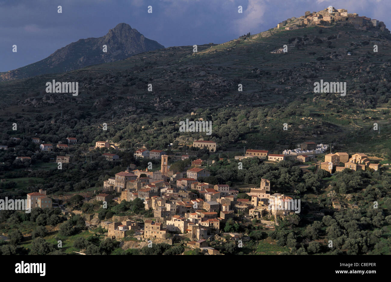 Village de montagne, Cateri, Corse, France, Europe, Hills Banque D'Images