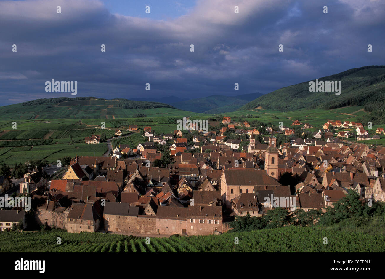 Riquewihr, Alsace, France, Europe, village, cité médiévale, vignobles Banque D'Images
