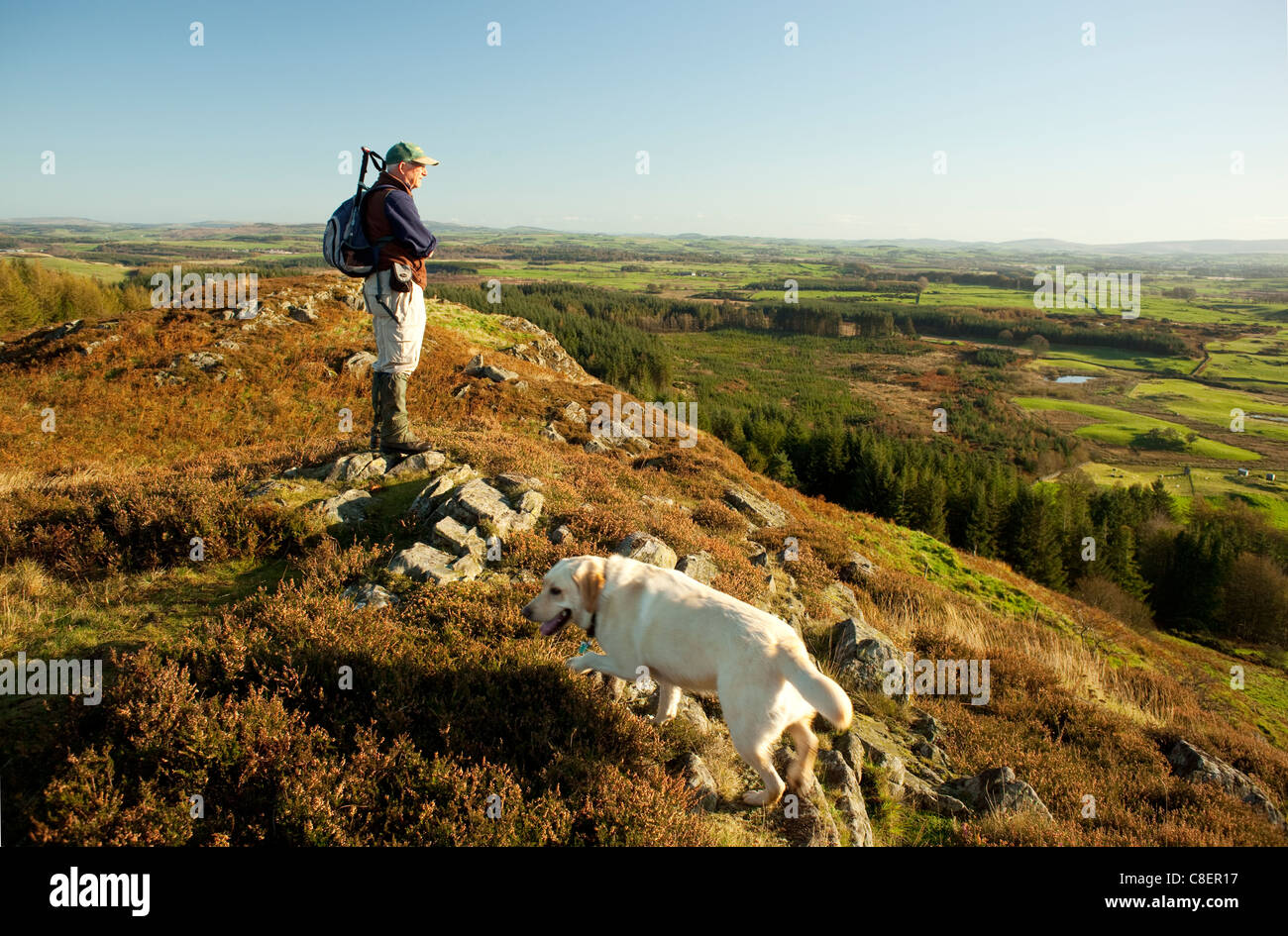 Vue panoramique du paysage d'automne. Personnes âgées walker debout sur Barstobrick Hill près de Ringford regardant vers l'est avec un chien labrador Banque D'Images